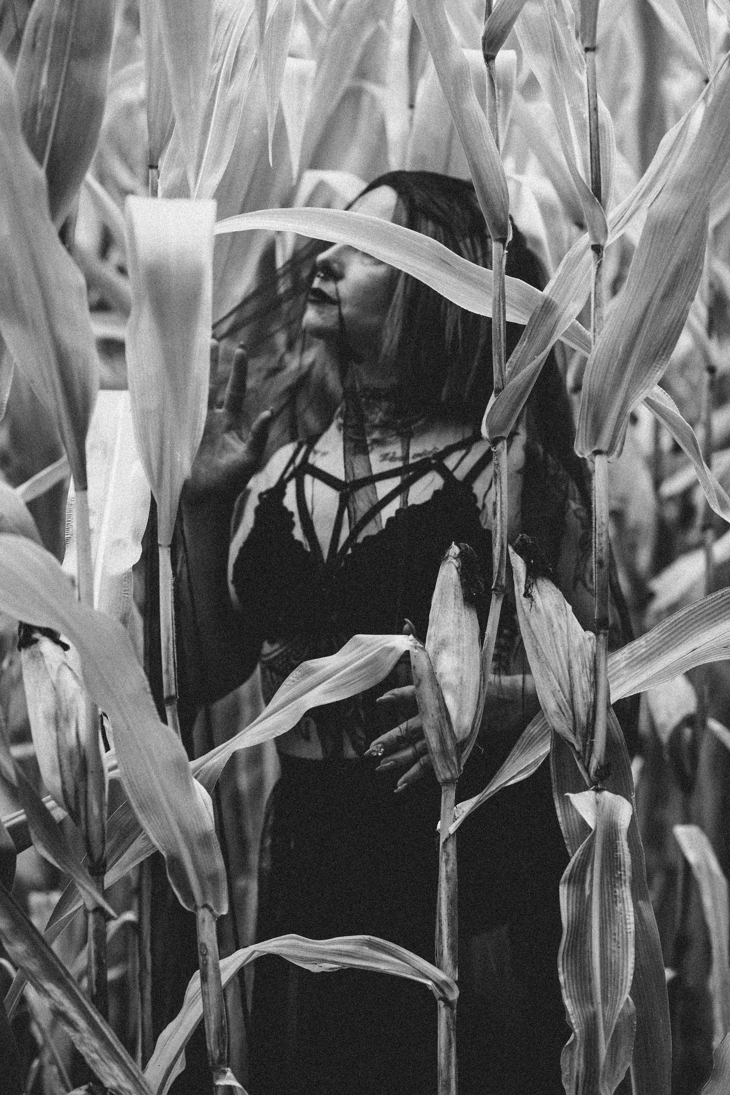 Black and white photo of a woman standing among tall corn stalks in a field, partially obscured by leaves.