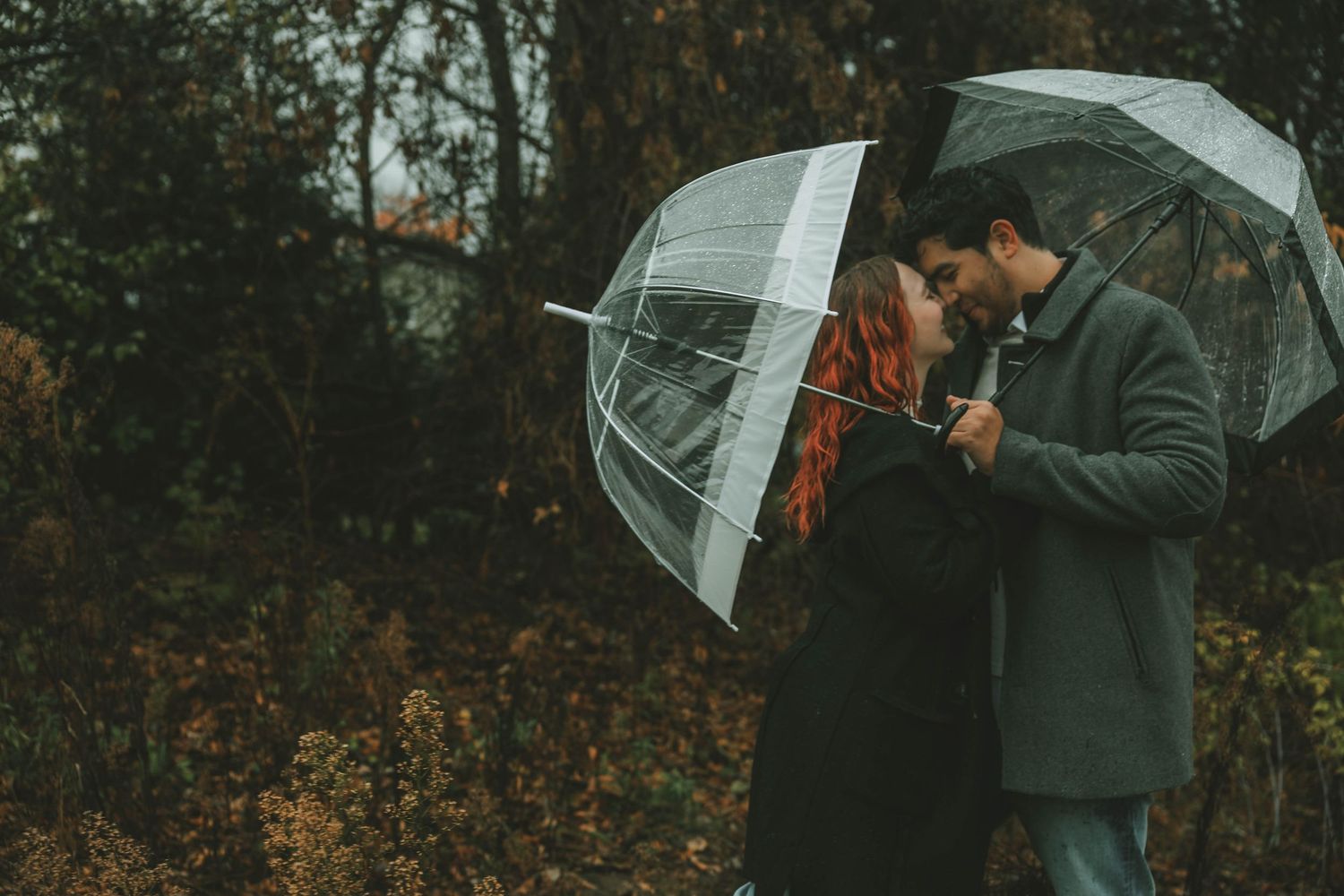 Two people share an intimate moment under a clear umbrella surrounded by autumn foliage in a romantic outdoor setting.