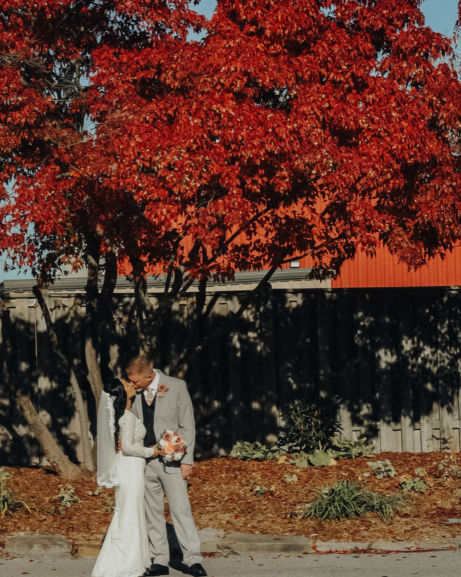 A couple shares a romantic moment under vibrant red autumn maple trees on a sunny fall day.