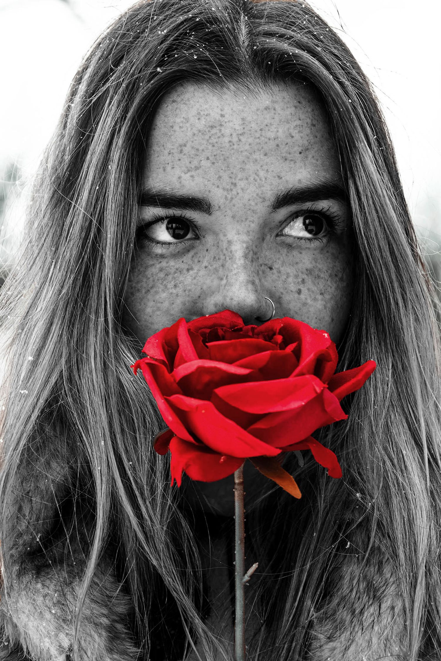A striking black and white portrait with a vibrant red rose against freckled skin.