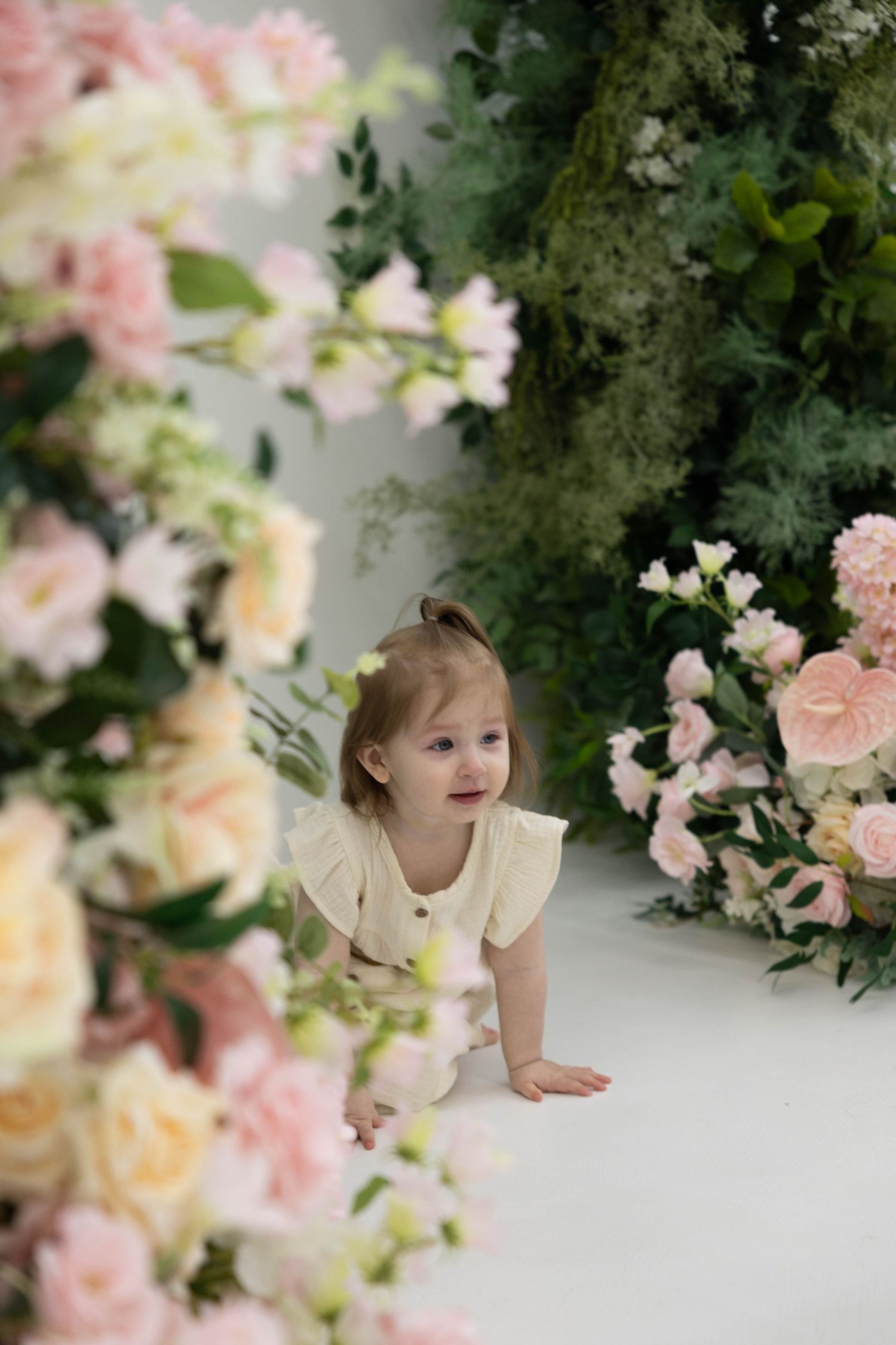 A whimsical floral photoshoot setup with pink and cream roses creating a dreamy garden backdrop.