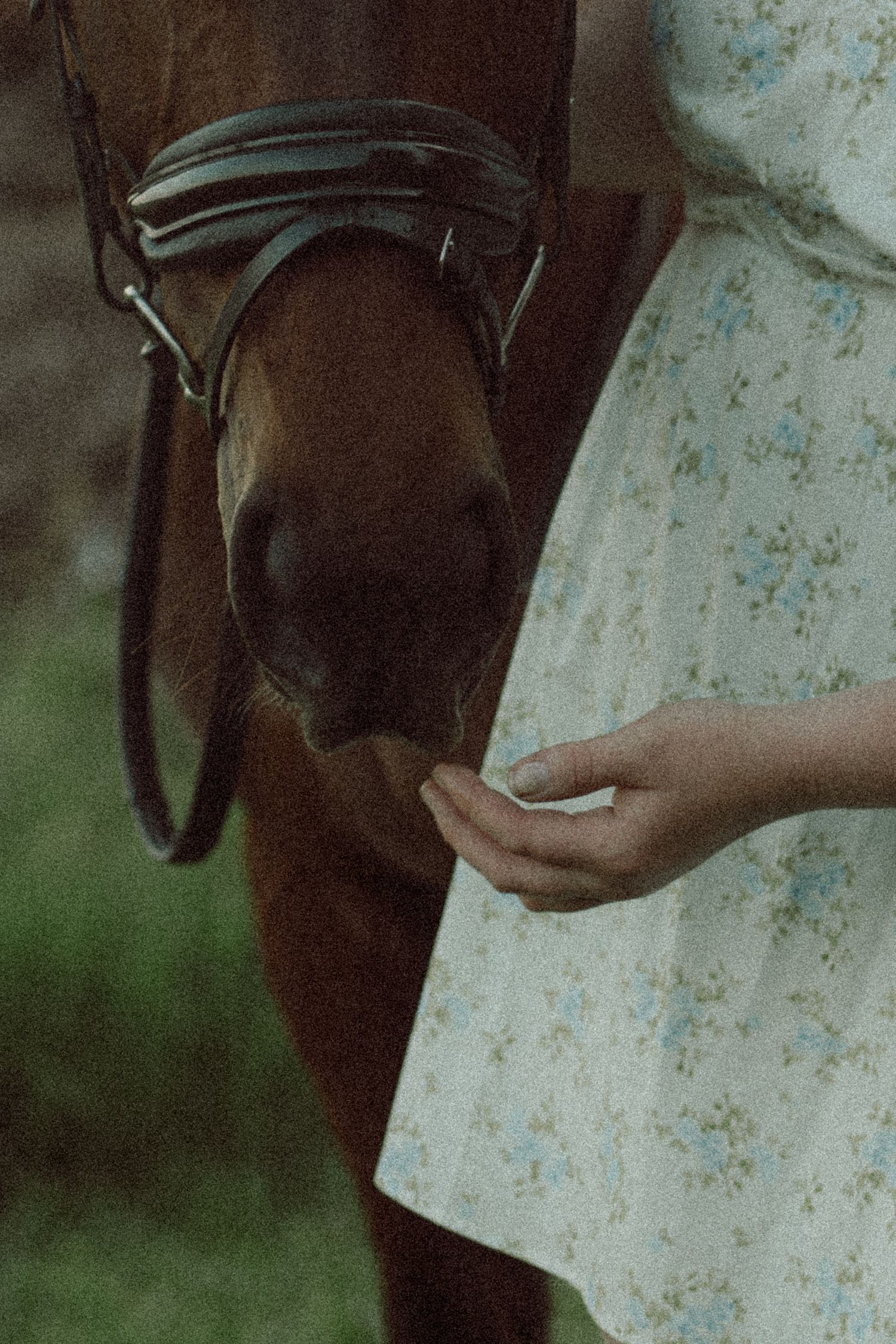 A young woman in a floral dress gently feeds a chestnut horse from her hand outdoors.