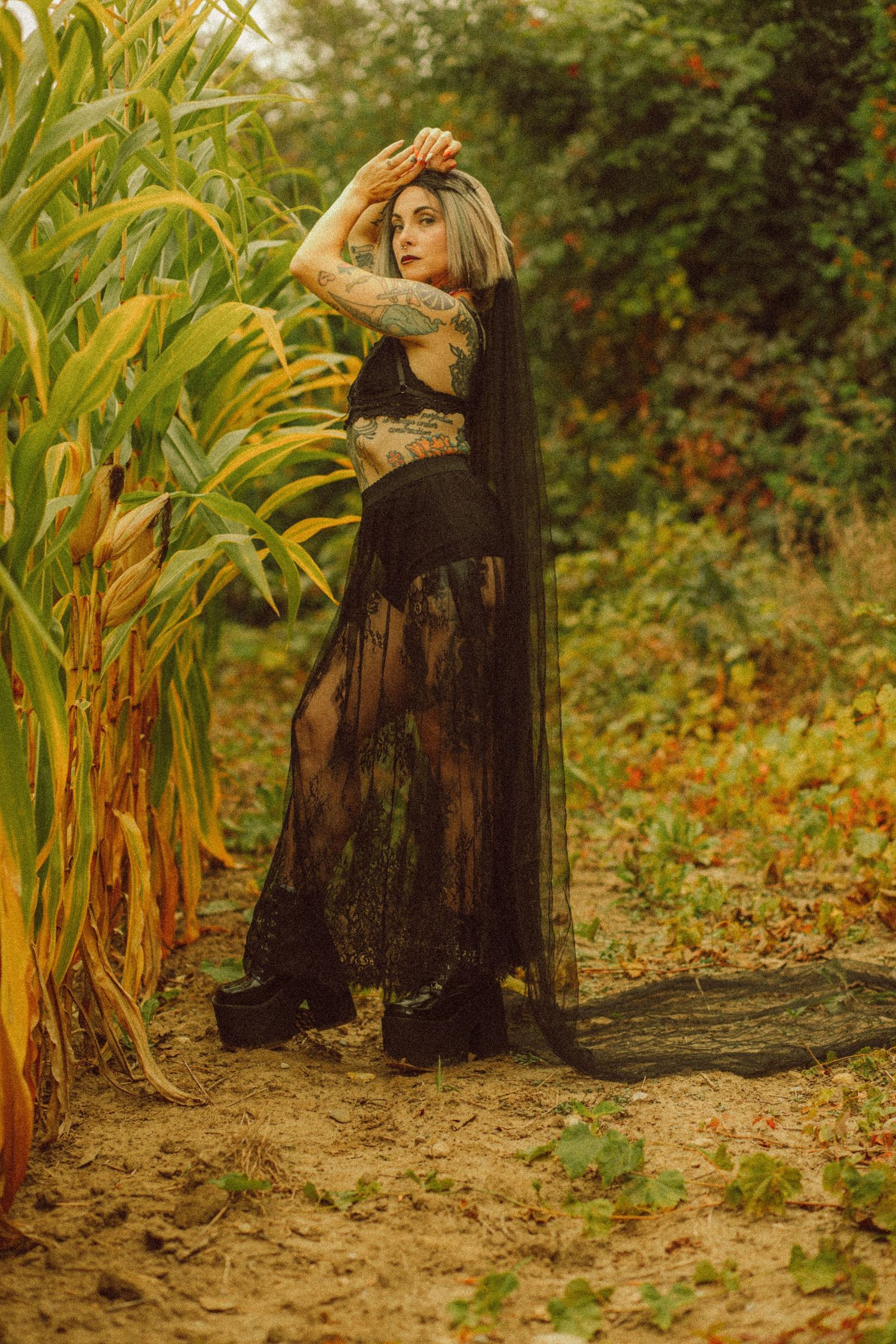 Tattooed woman in black sheer gothic dress poses dramatically in autumn cornfield wearing platform boots.