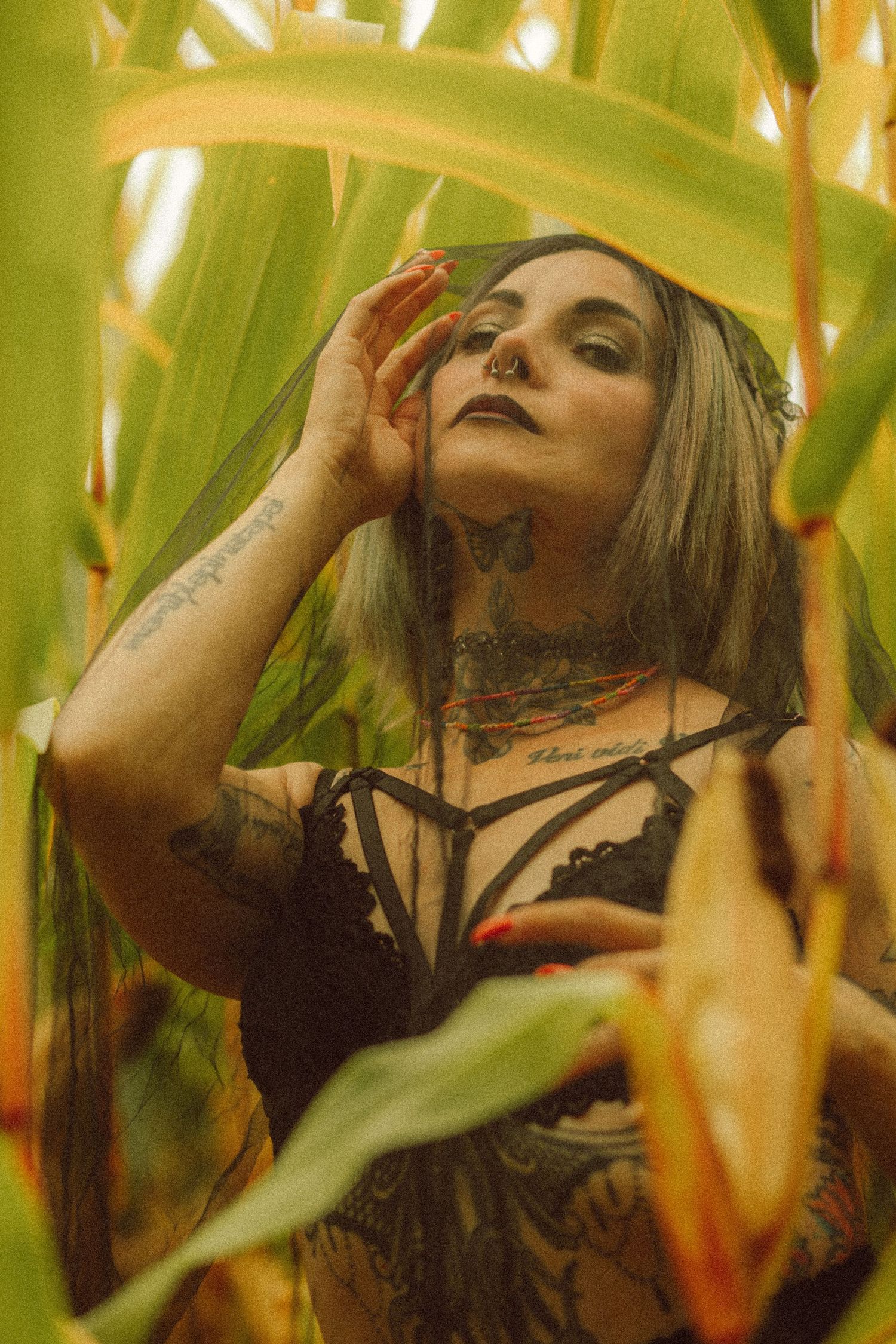 Tattooed woman in black lace lingerie poses among green corn stalks, wearing a dark veil with dramatic gothic makeup.