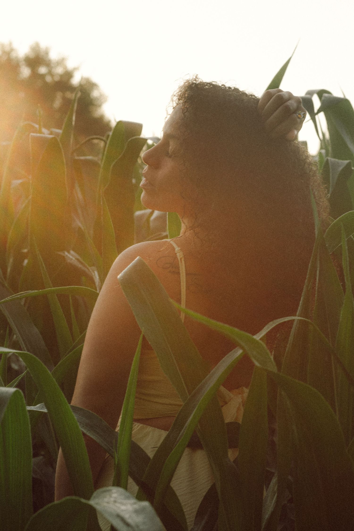 Woman with curly hair standing in sunlit cornfield at golden hour.