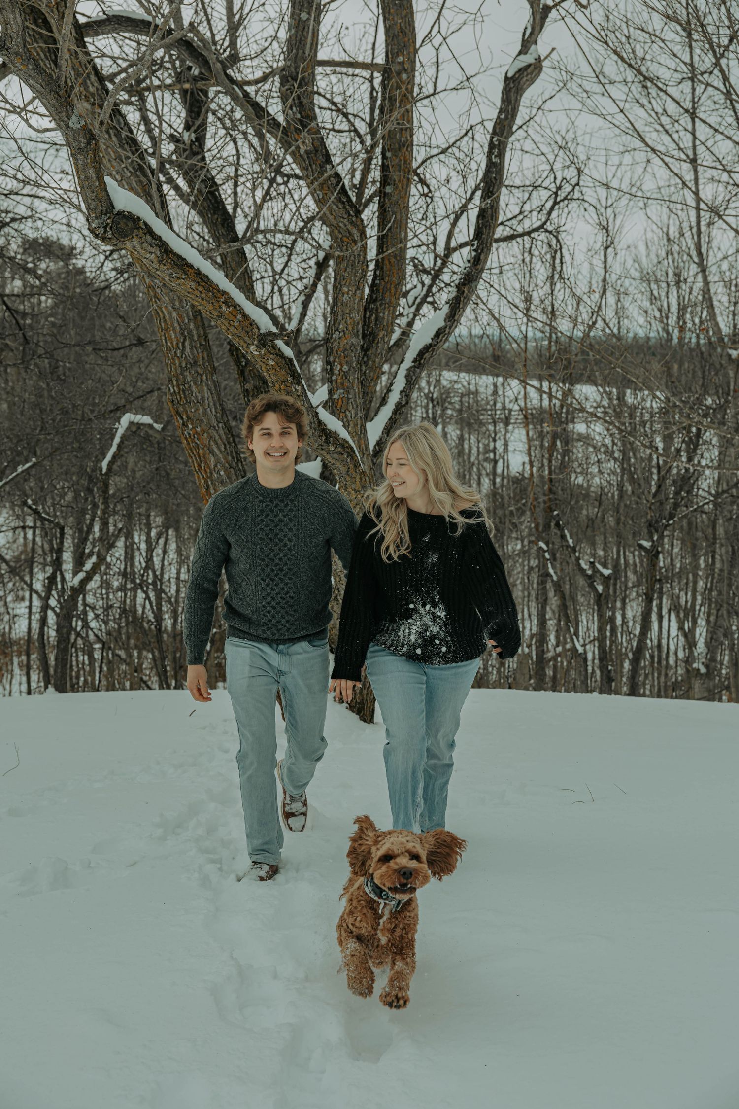 A couple walks through a snowy winter landscape with their fluffy brown dog among bare trees.