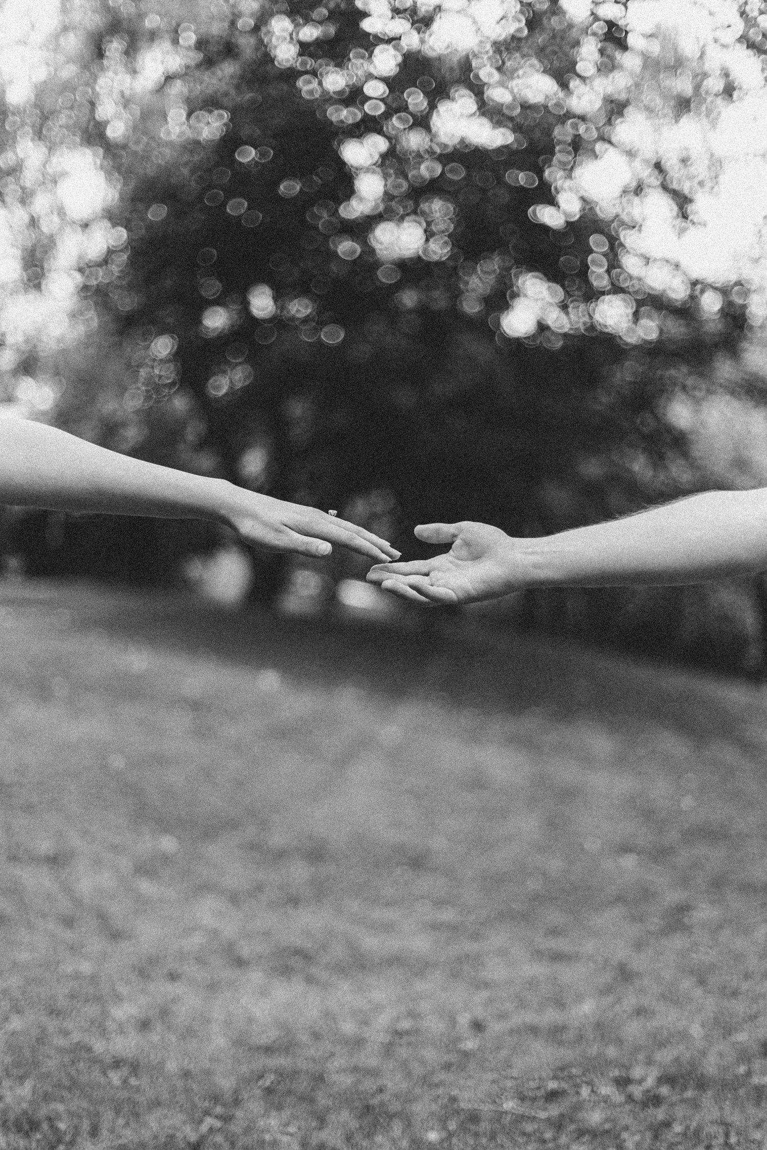 Two hands reaching towards each other against a blurred natural background in black and white photography.