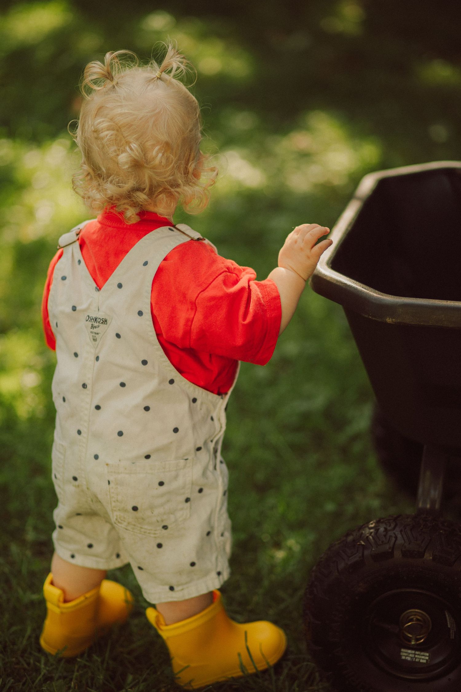 Toddler in yellow rain boots, polka dot overalls, and red shirt reaches into a black garden wheelbarrow outdoors.