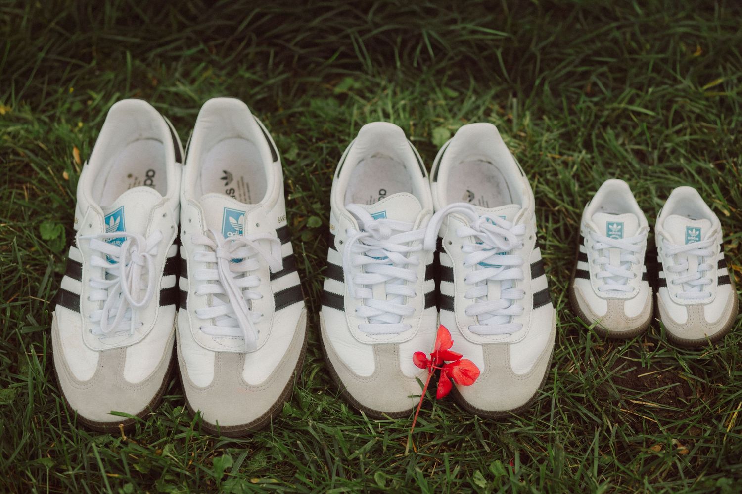 Three pairs of white Adidas sneakers with black stripes arranged on green grass, ranging from adult to toddler sizes.