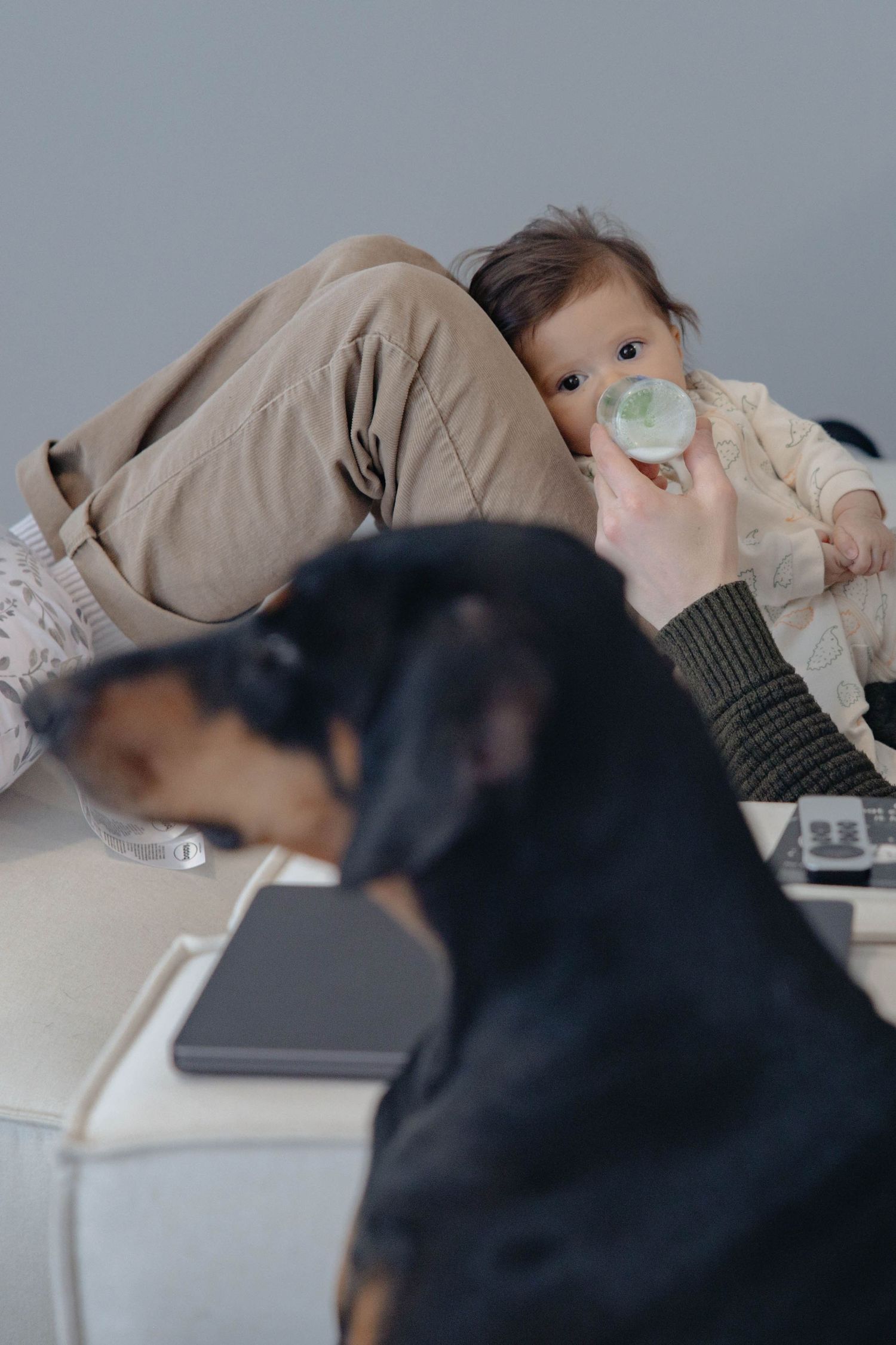 Baby with pacifier rests on couch next to black dog and mobile device in cozy home setting.
