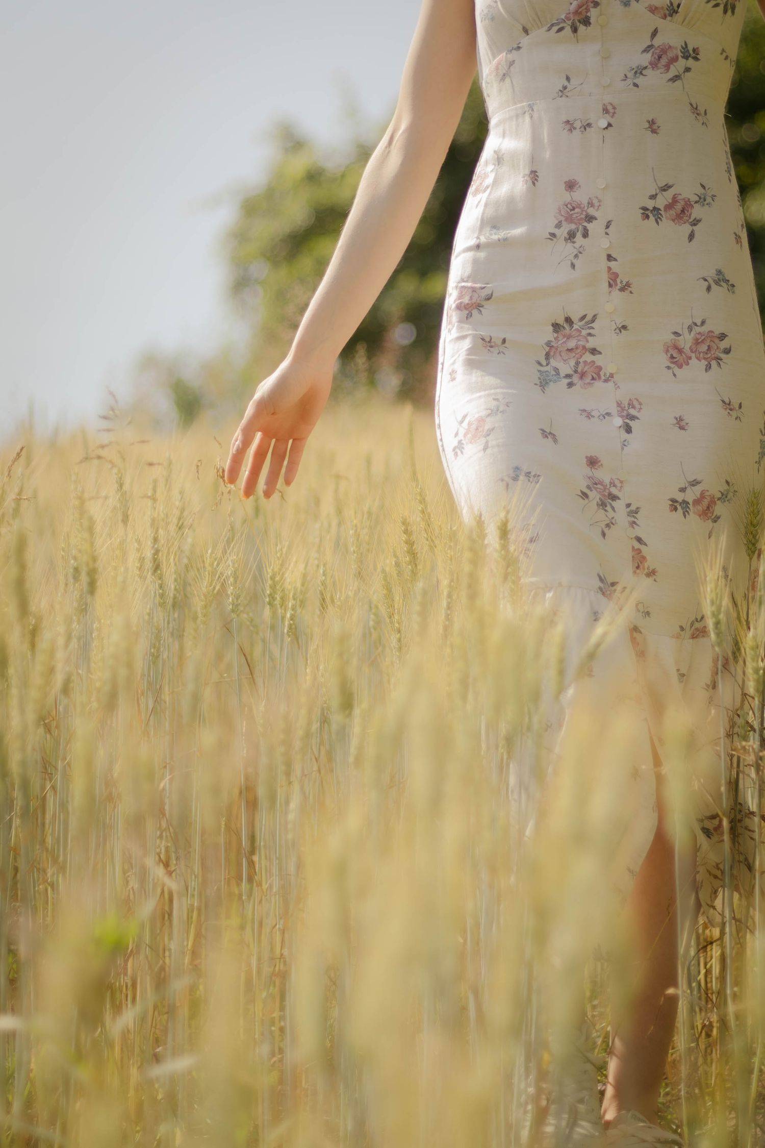 Cropped view of a floral dress against golden wheat field in soft sunlight.