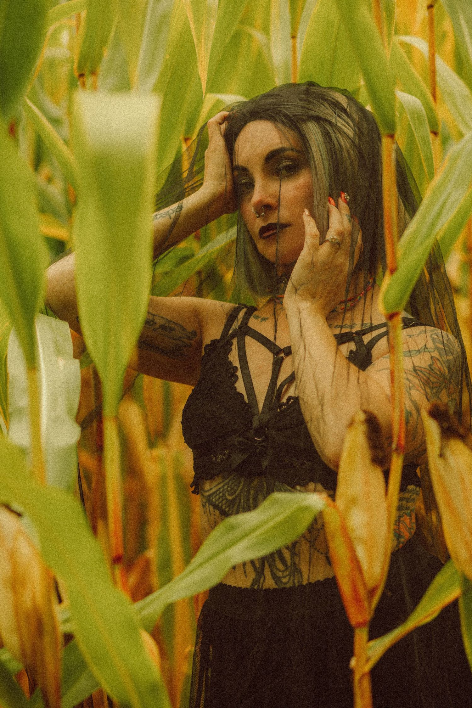 Tattooed woman in black lingerie poses among tall corn stalks with dark makeup and gray hair.