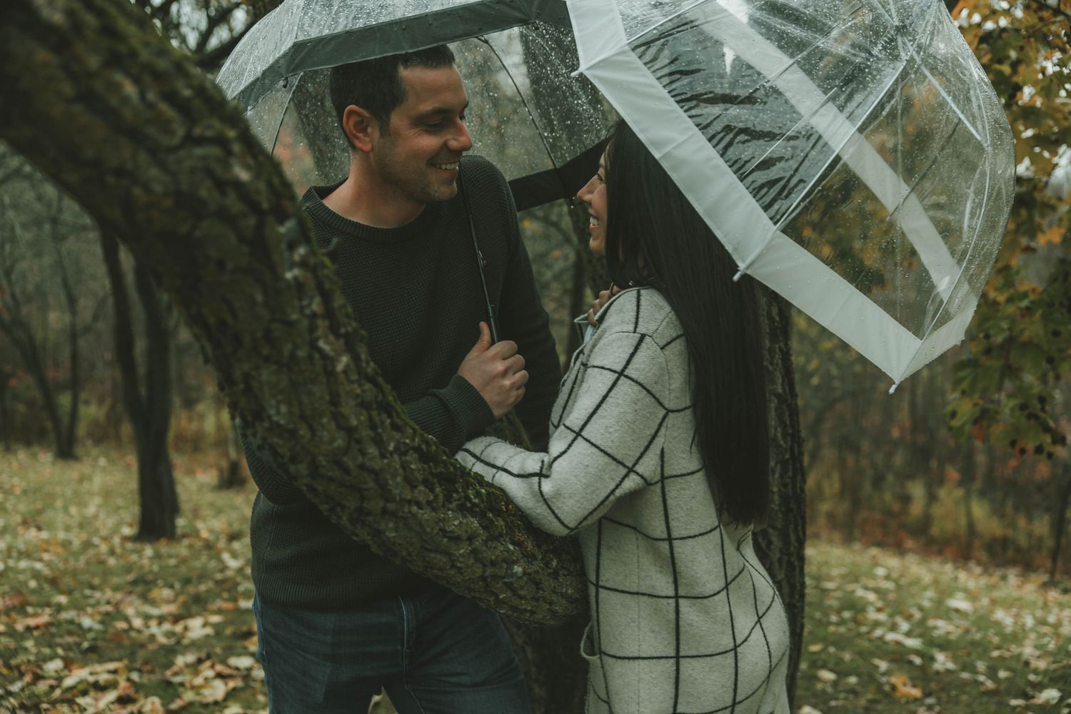 A romantic couple shares intimate moments under a clear umbrella in an autumn forest setting.