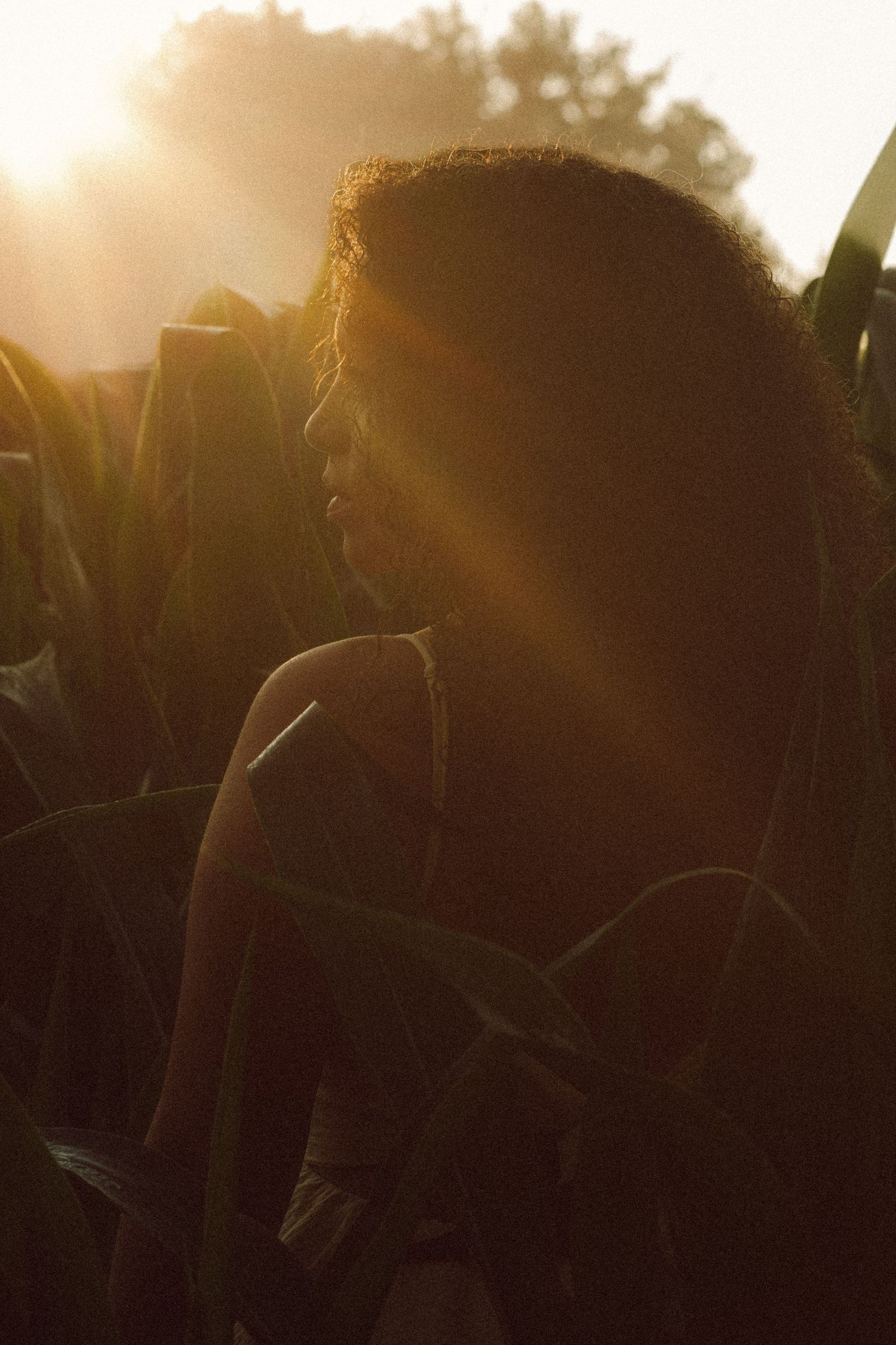 A young woman stands among lush green corn stalks bathed in warm golden sunset light with sun flares.