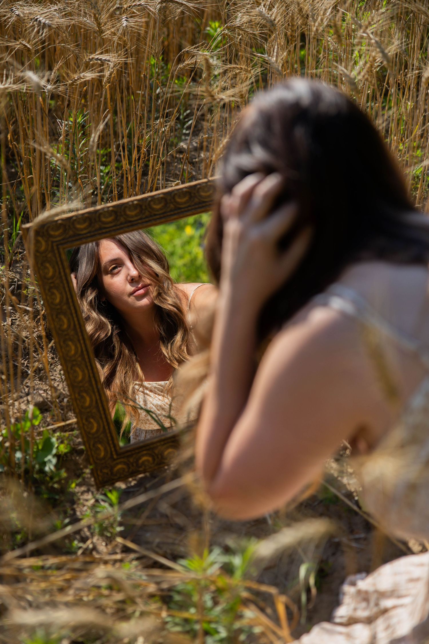 A photoshoot takes place among tall stalks of wheat in warm sunlight.
