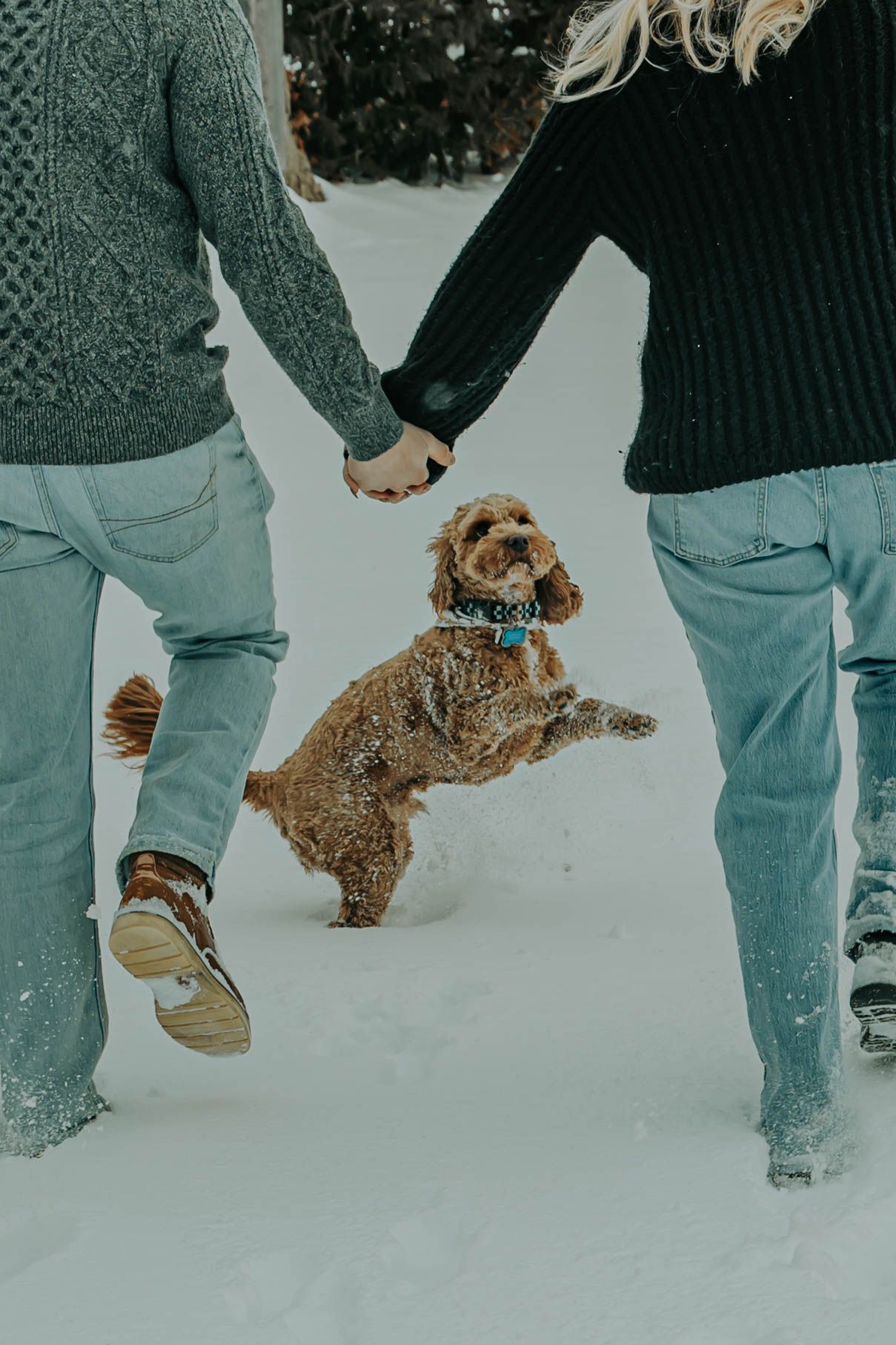 A small brown dog plays and jumps through deep snow while people walk alongside in winter boots.
