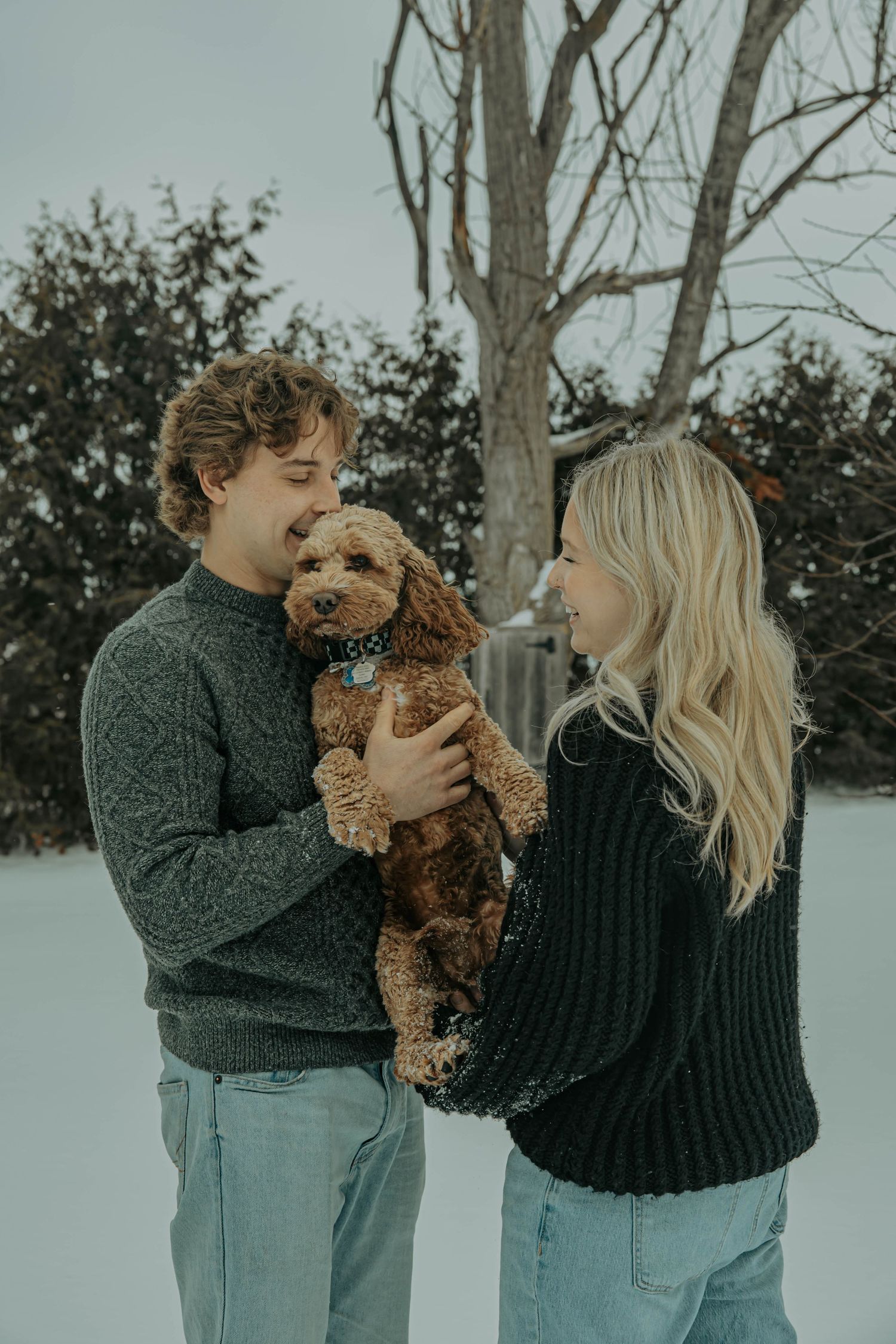 A couple in winter clothing shares tender moments with their goldendoodle puppy in a snowy setting.