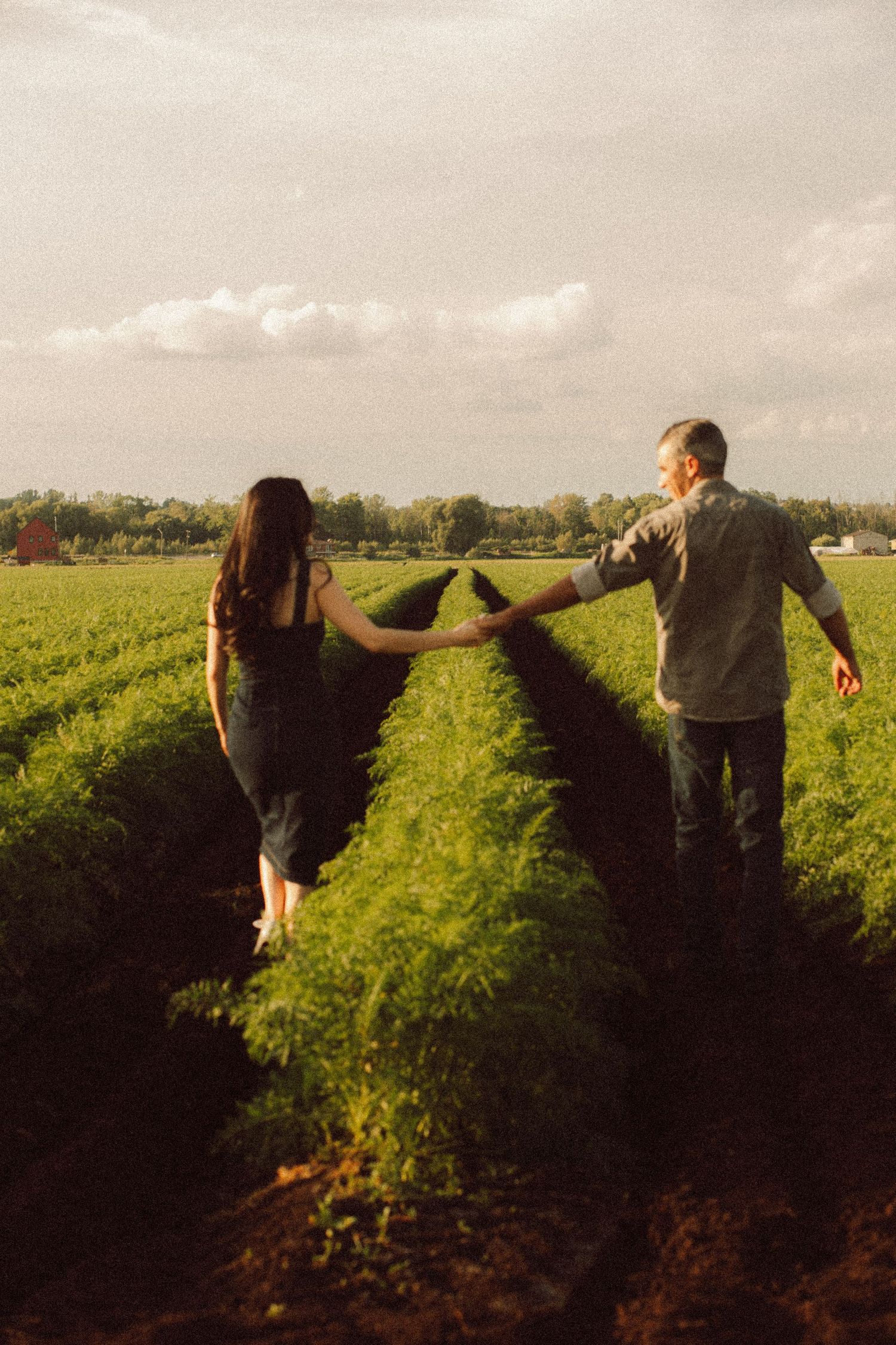 Couple holding hands walking through lush green crop rows on a sunny farm field.