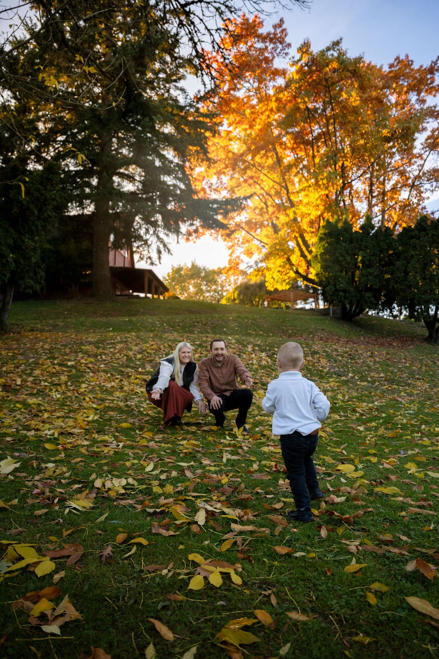A group plays on a grassy hill covered in autumn leaves at sunset with golden trees glowing in the background.