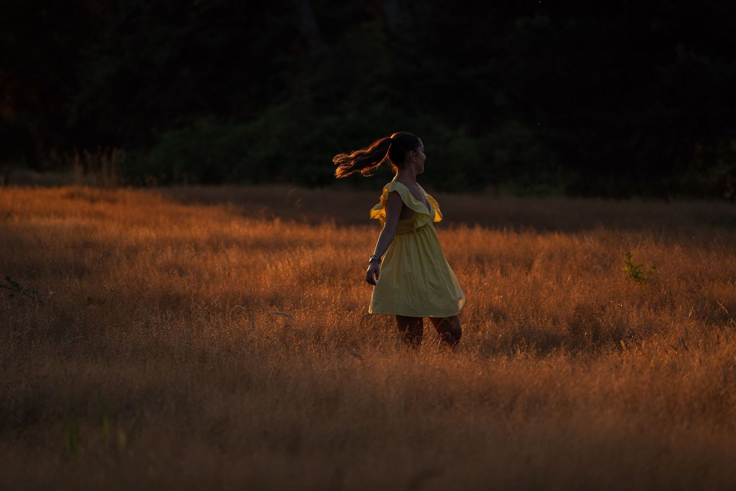 Person in flowing dress silhouetted against golden sunset in grassy field.
