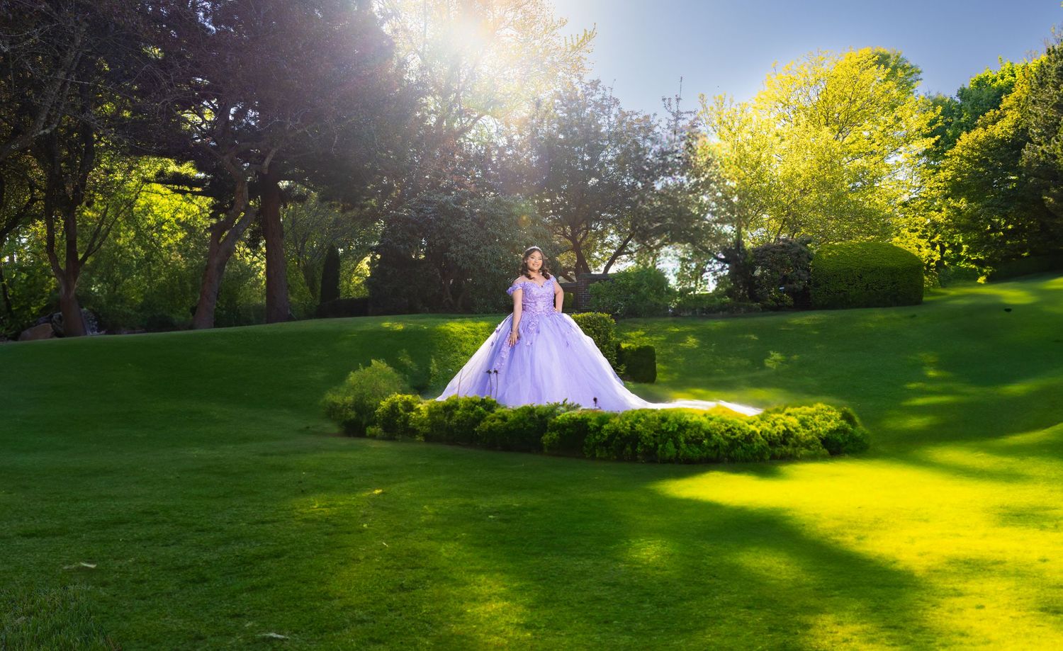 Sunlit green lawn with trees and bushes casting shadows in a tranquil garden setting.