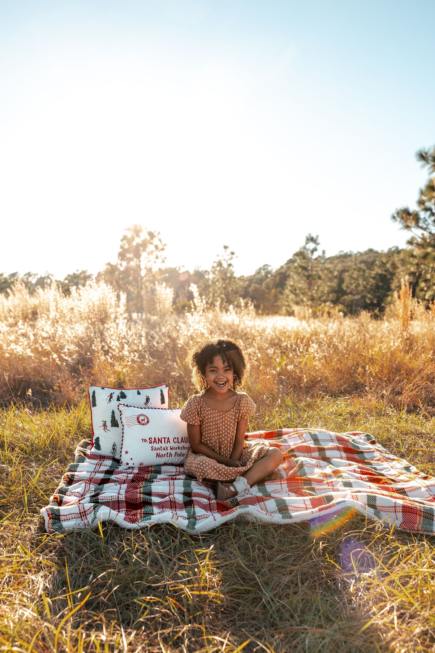 A plaid blanket spread out in a golden field during sunset with tall grass and trees in the background.