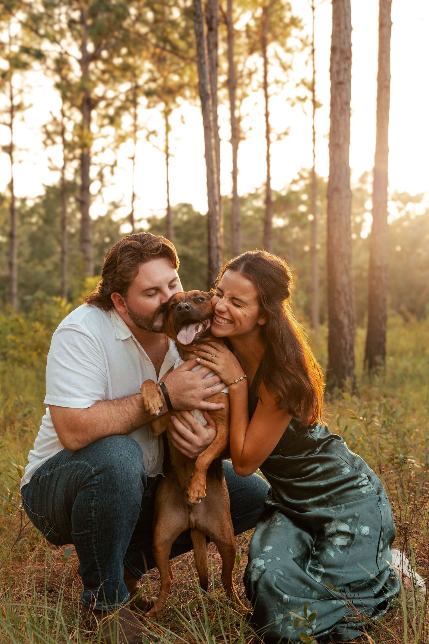 A couple and their dog sharing joyful moments in a sunlit pine forest during golden hour.