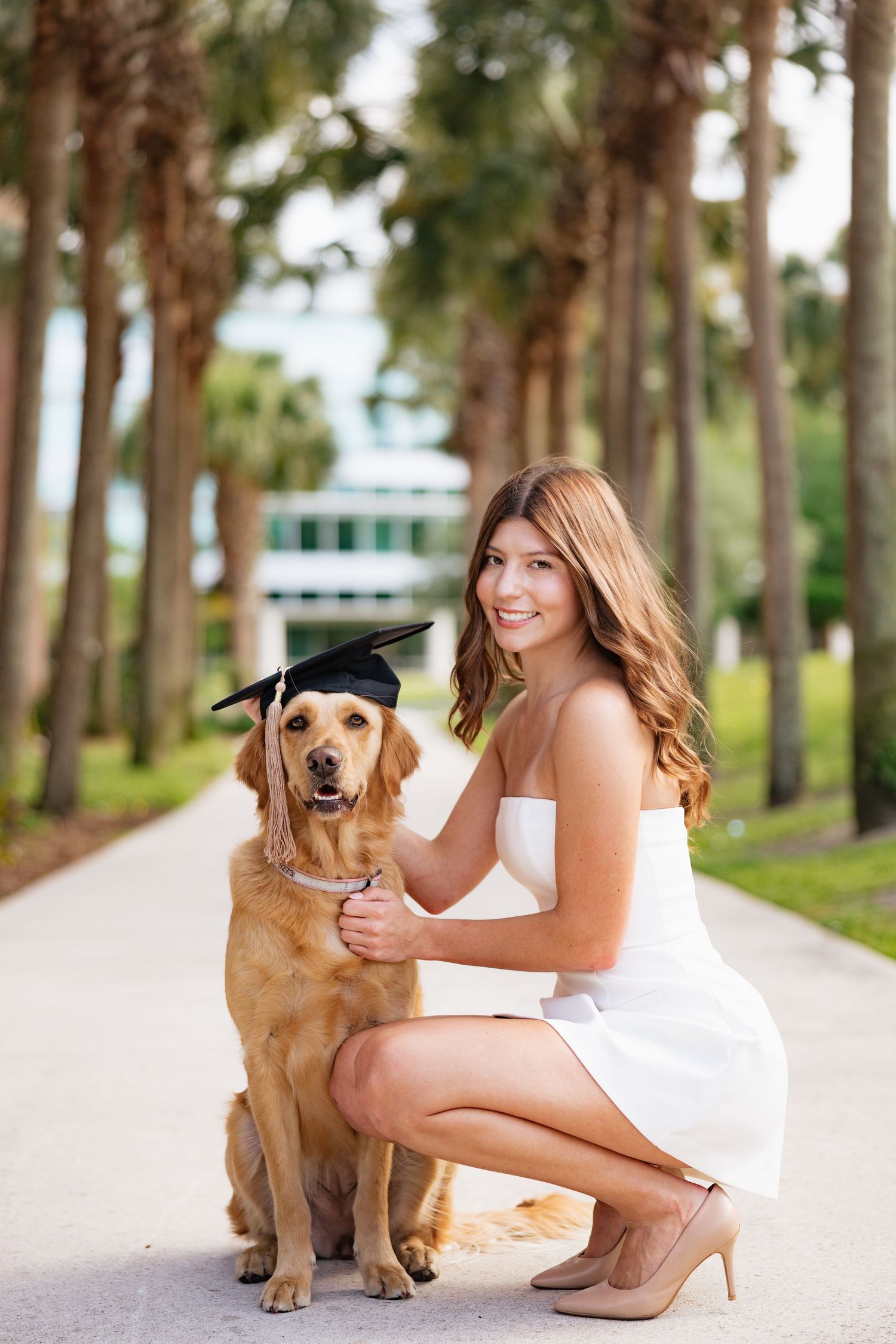 Young woman in white dress poses with golden retriever wearing graduation cap on palm tree-lined path.