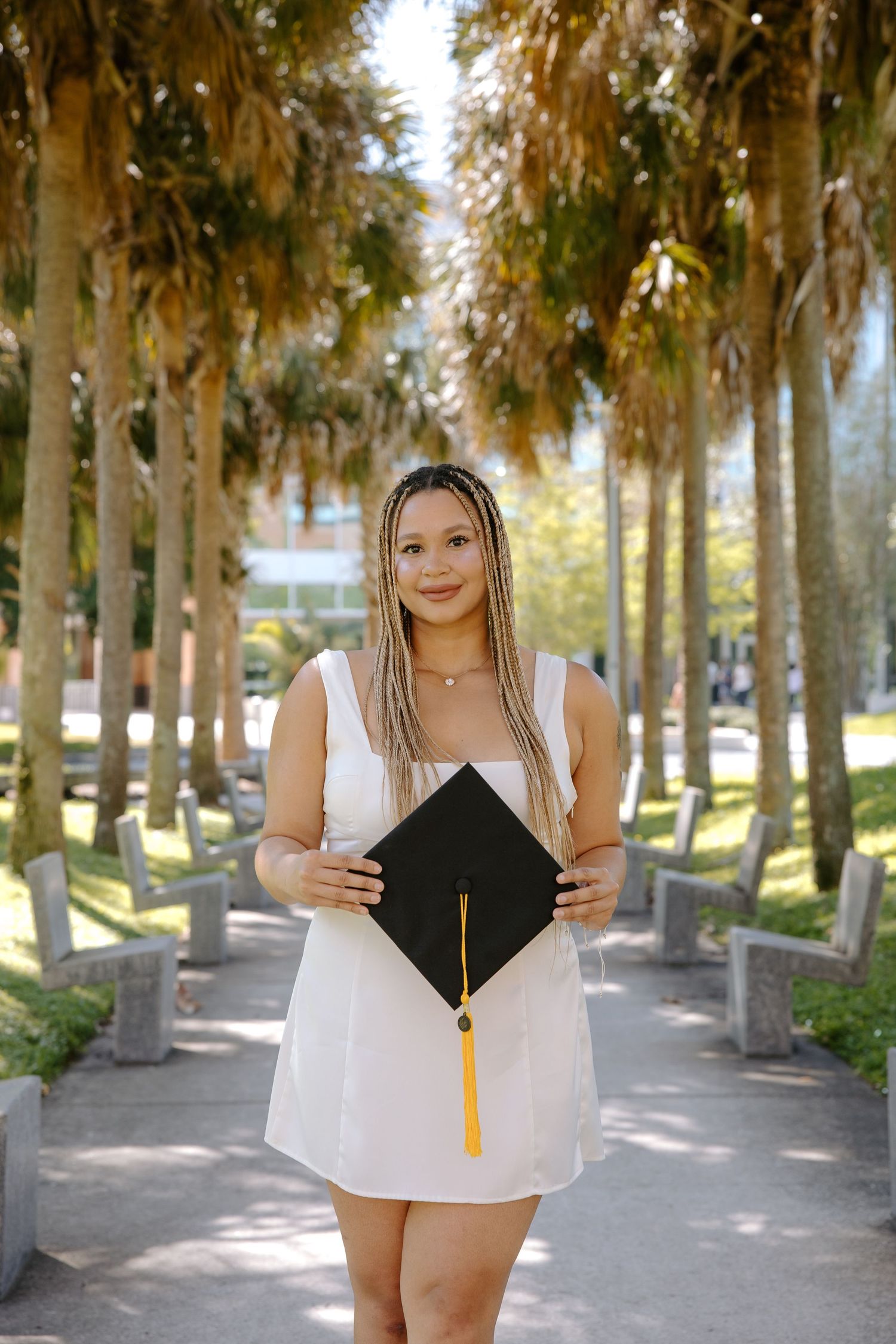 Graduation photos taken under a row of palm trees on a sunny day.