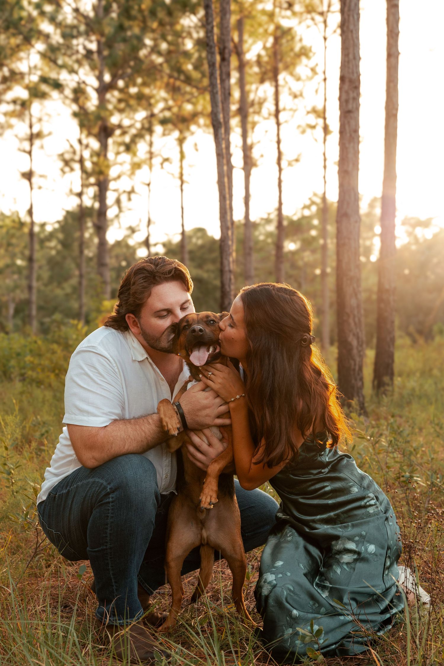 A couple shares tender moments with their dog in a sun-drenched pine forest at golden hour.