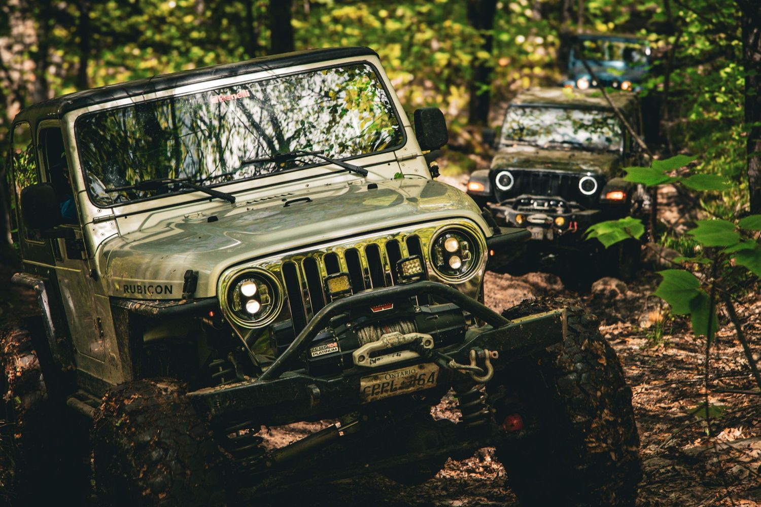Two jeeps in a forest setting, one grey, one black