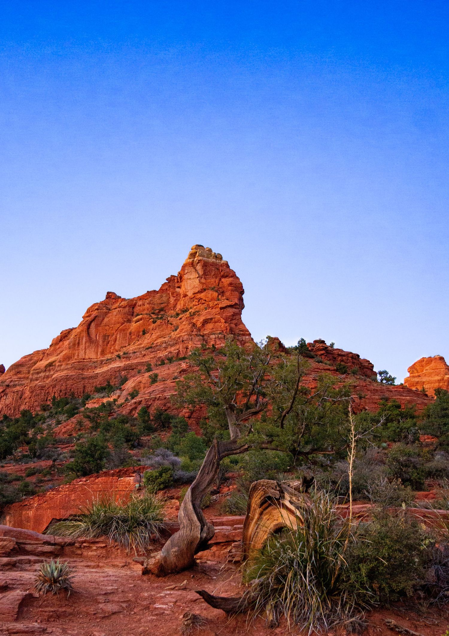 sedona, arizona red rock landscape