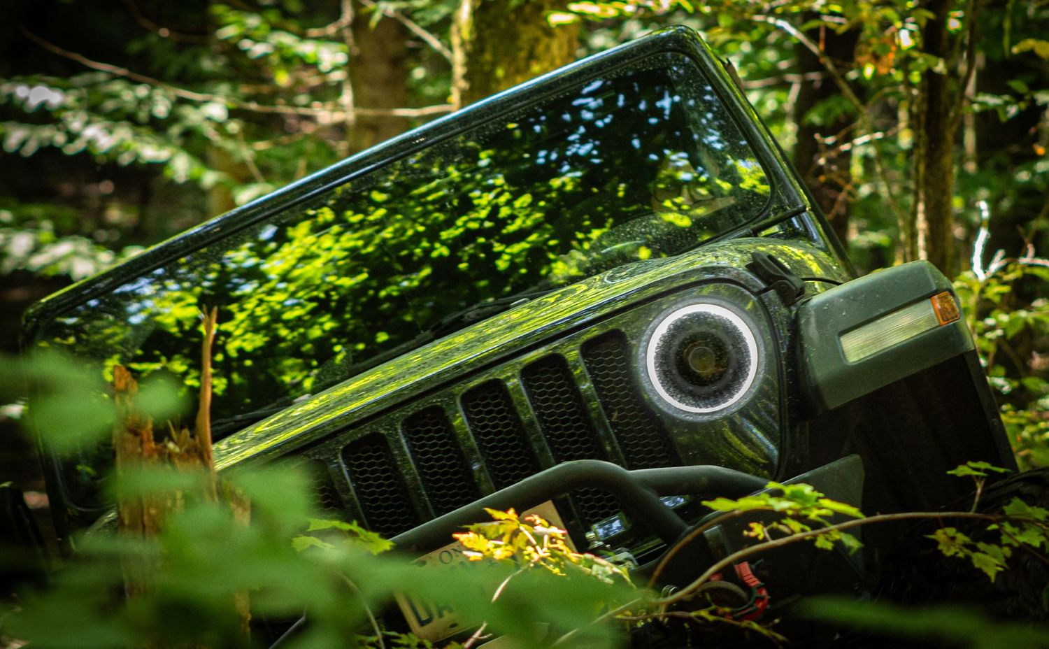 A Black jeep in a forest setting peeking its headlight through the bushes