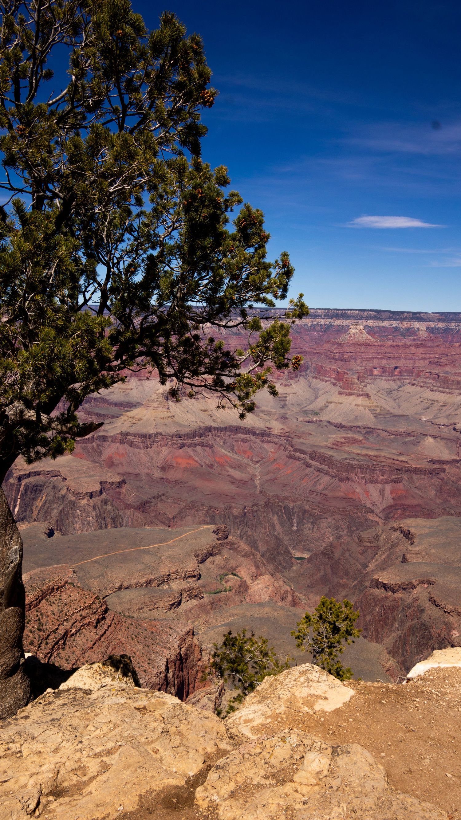 grand canyon landscape
