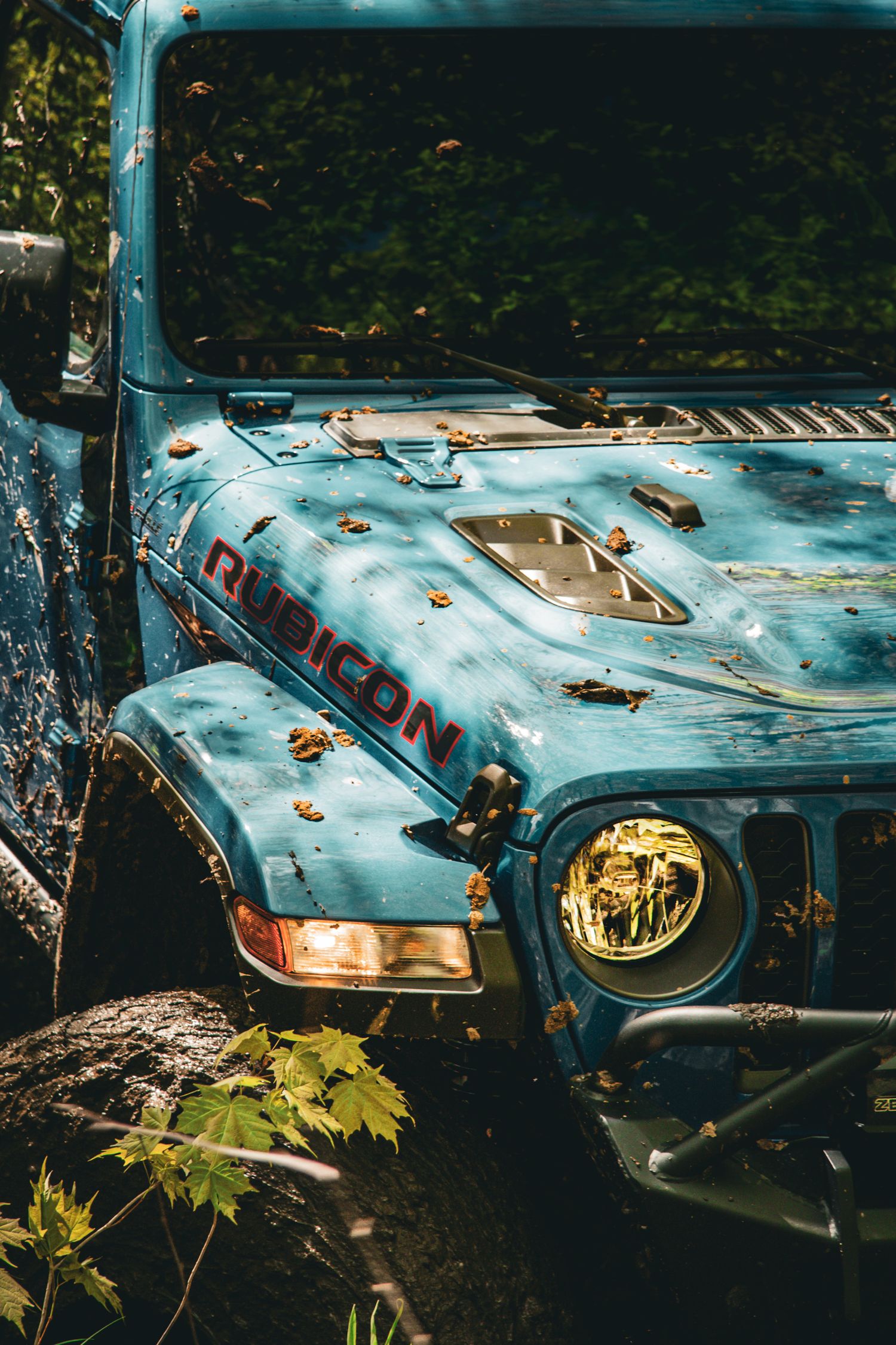 blue jeep