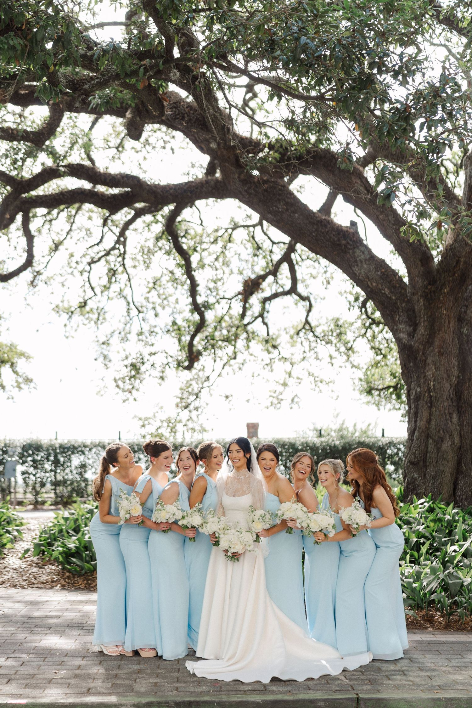 Bride surrounded by bridesmaids in light blue gowns holding white bouquets under large oak tree outdoors.