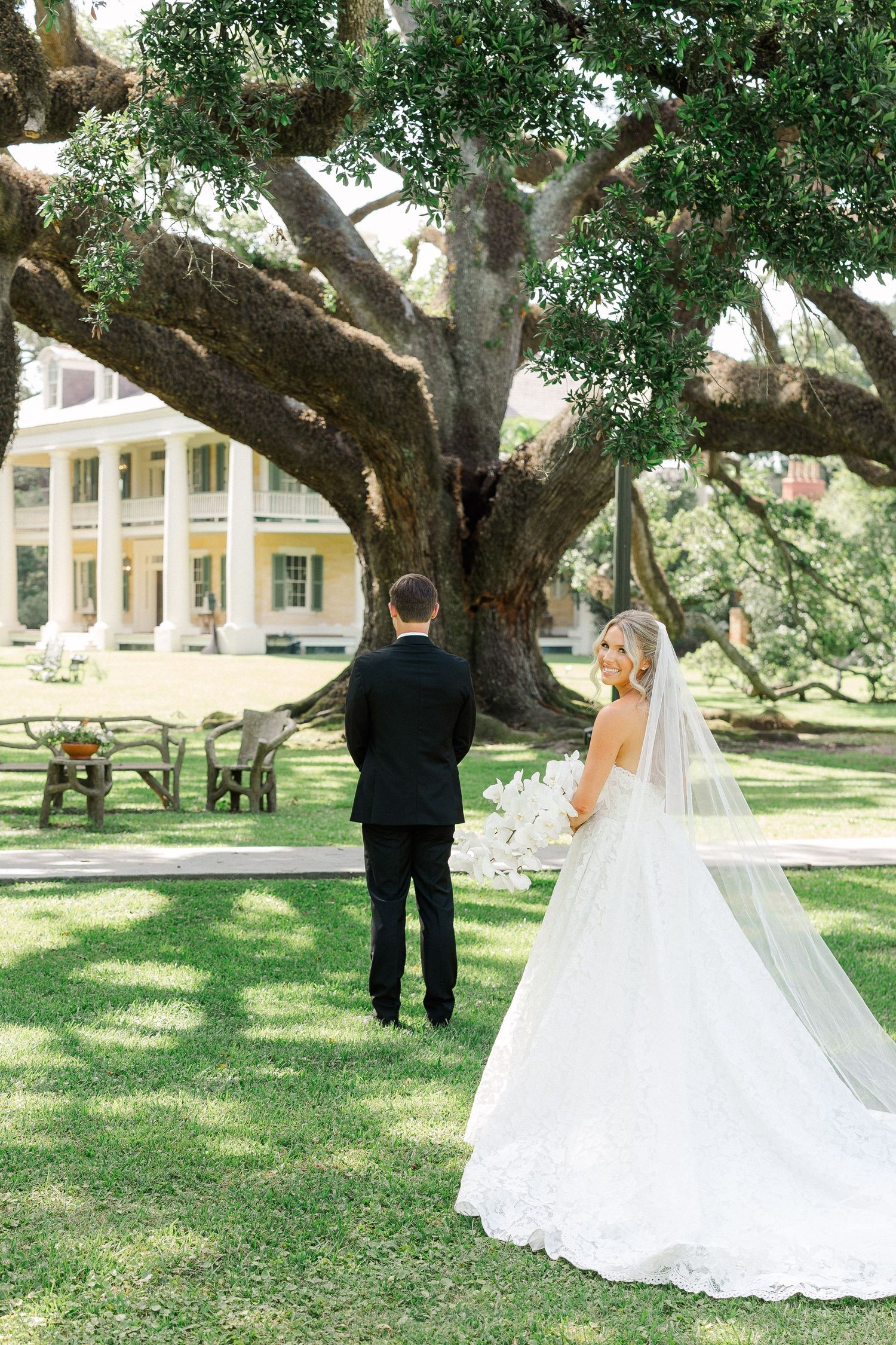 Bride in lace gown with cathedral veil approaches groom in black tux under large oak tree at plantation.