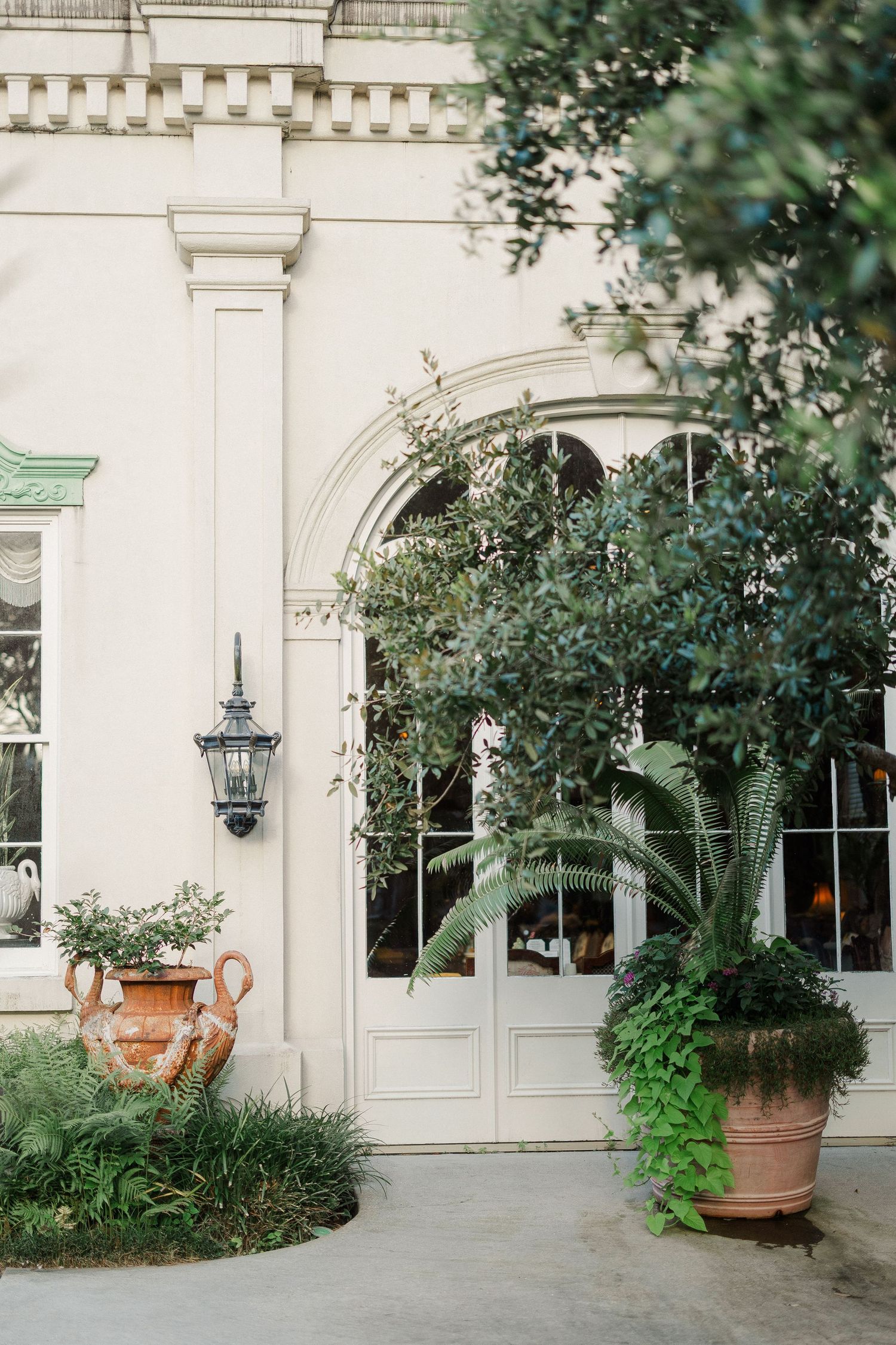 Elegant white mansion entrance with arched French doors, ornate lantern, and lush potted olive trees and ferns.