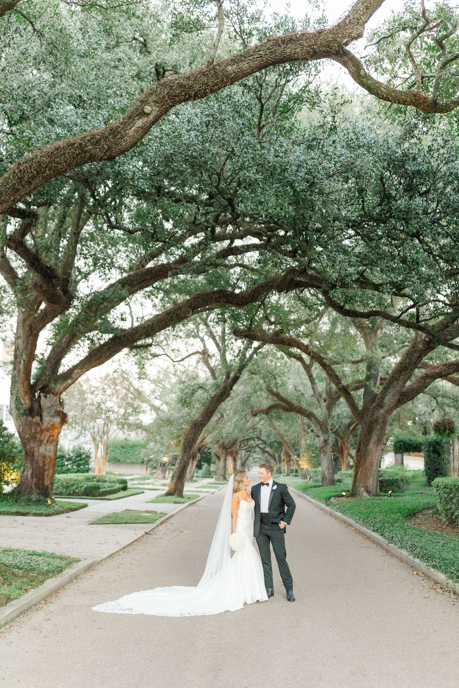 Wedding couple on tree-lined path with overhanging oak branches.