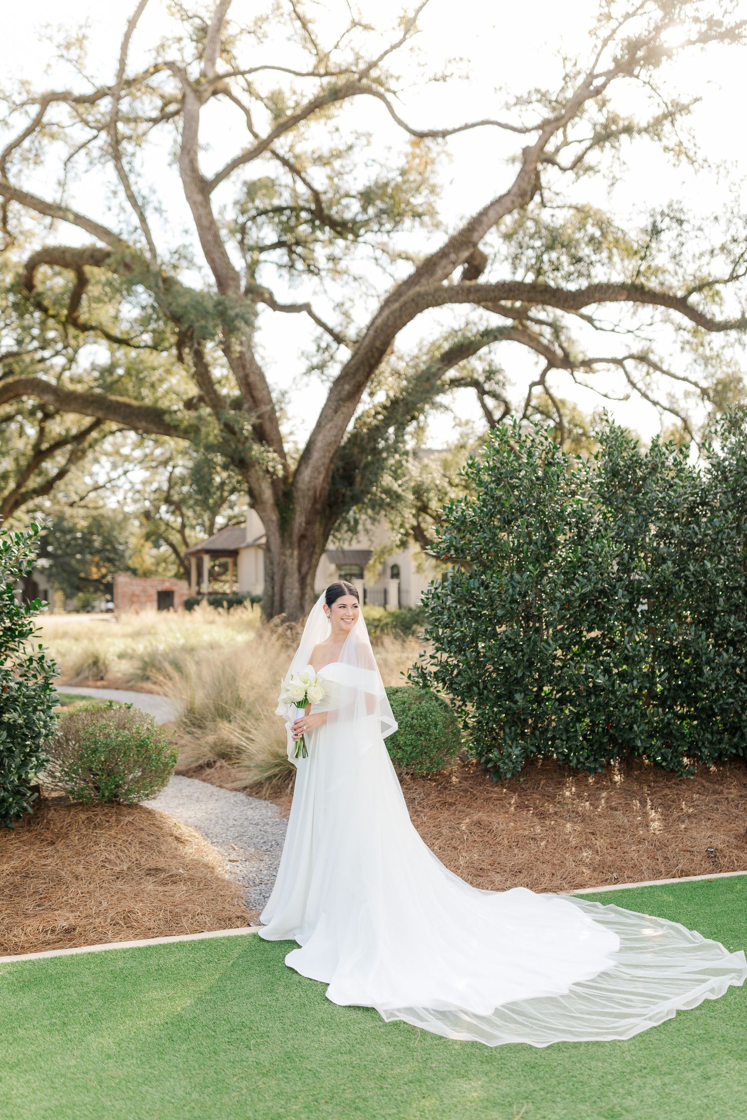 A wedding dress with a flowing cathedral veil and train on a green lawn beneath a grand oak tree on a sunny day.