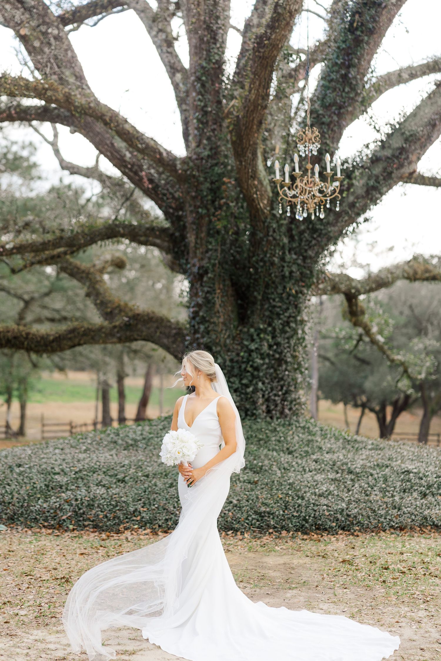 Elegant bridal portrait under a majestic oak tree with a crystal chandelier, featuring a flowing white mermaid wedding gown.