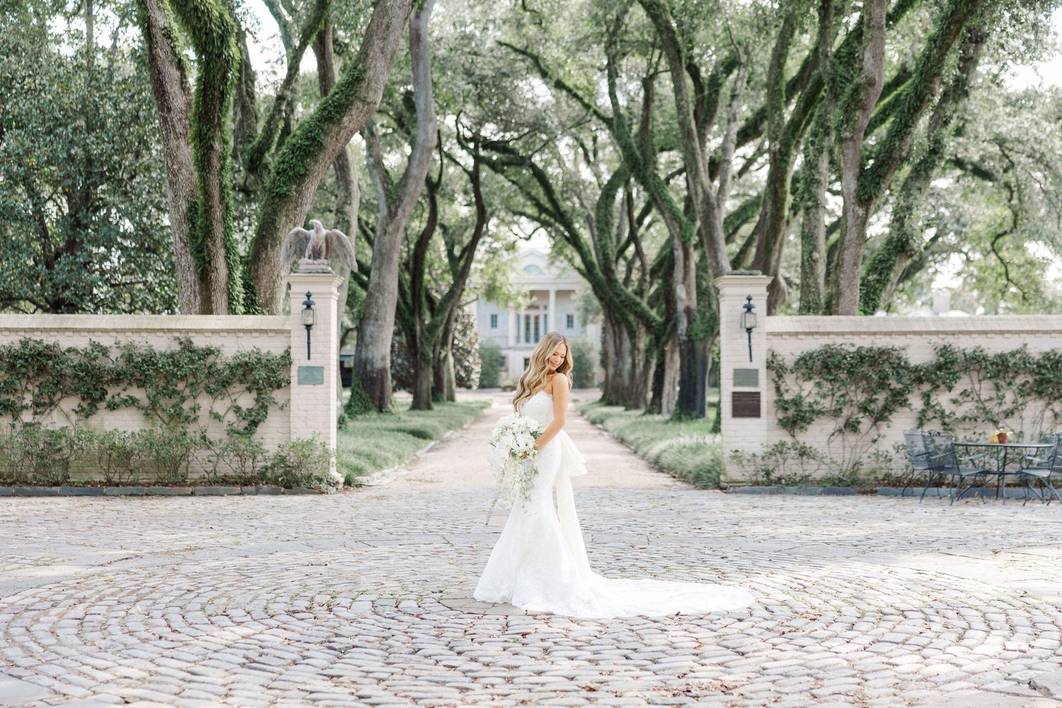 A bride in a white wedding dress walks through a scenic tree-lined path with moss-draped oak trees in the background.