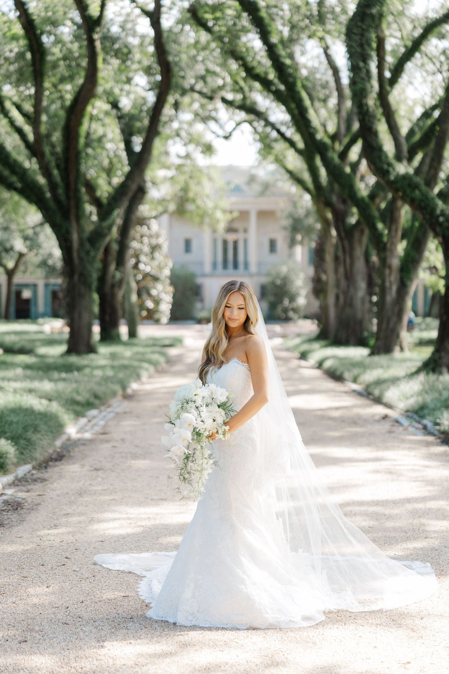 A bride in a flowing white gown poses along a tree-lined path with dappled sunlight filtering through.