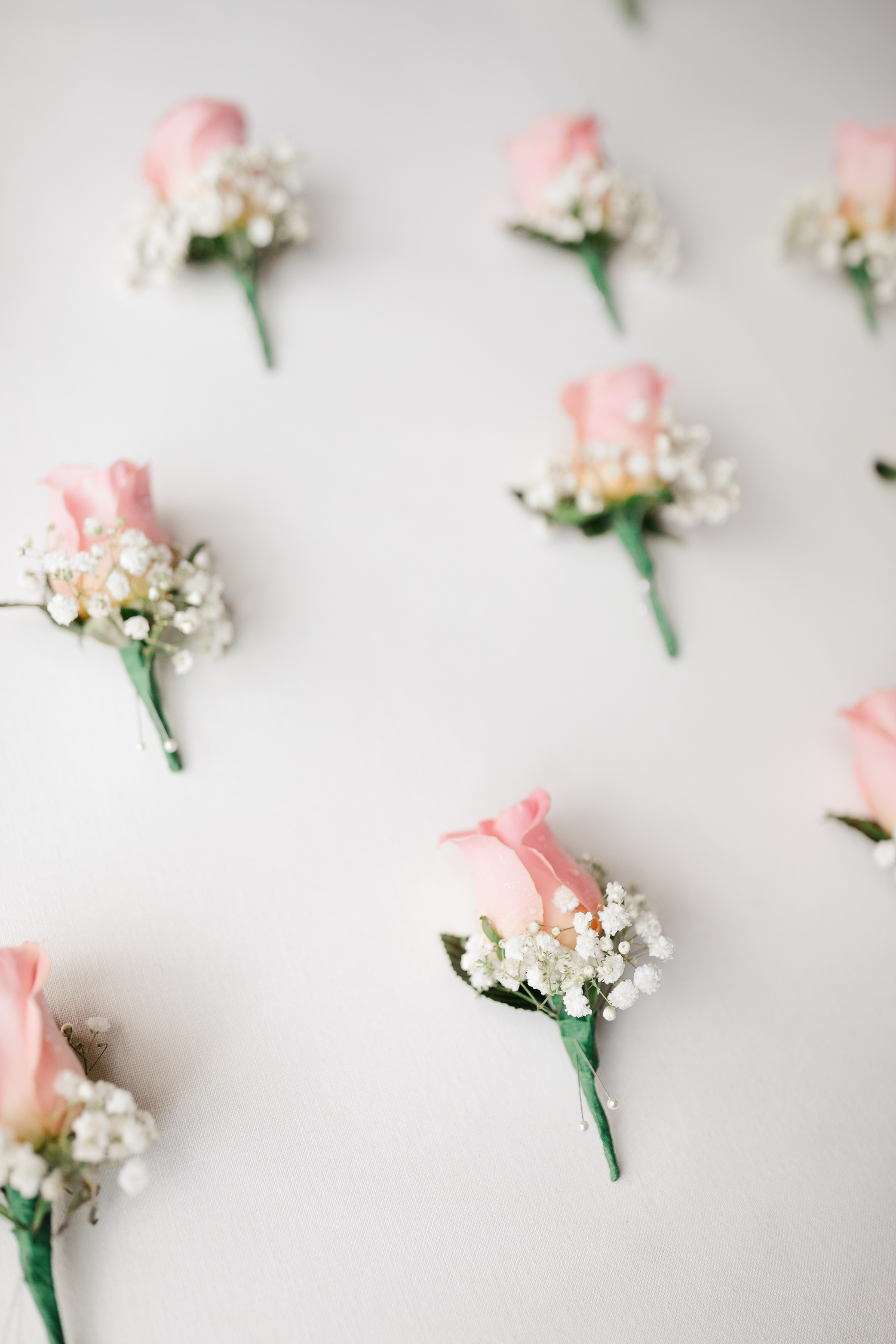 Delicate pink rose and baby's breath boutonnieres arranged on a white background.