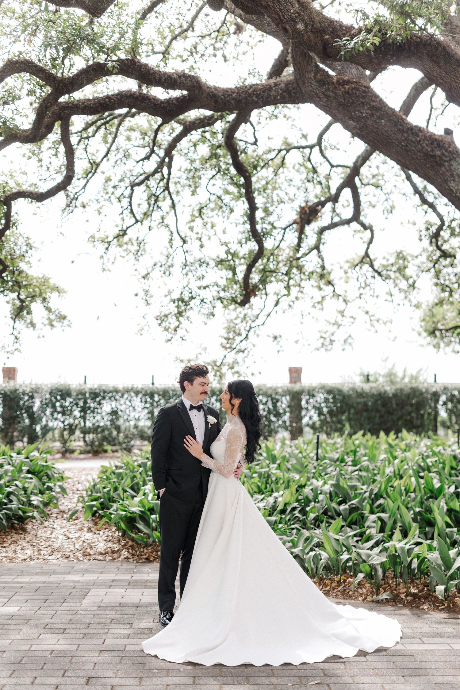 Elegant bride and groom embracing on brick pathway surrounded by tropical garden under oak tree.