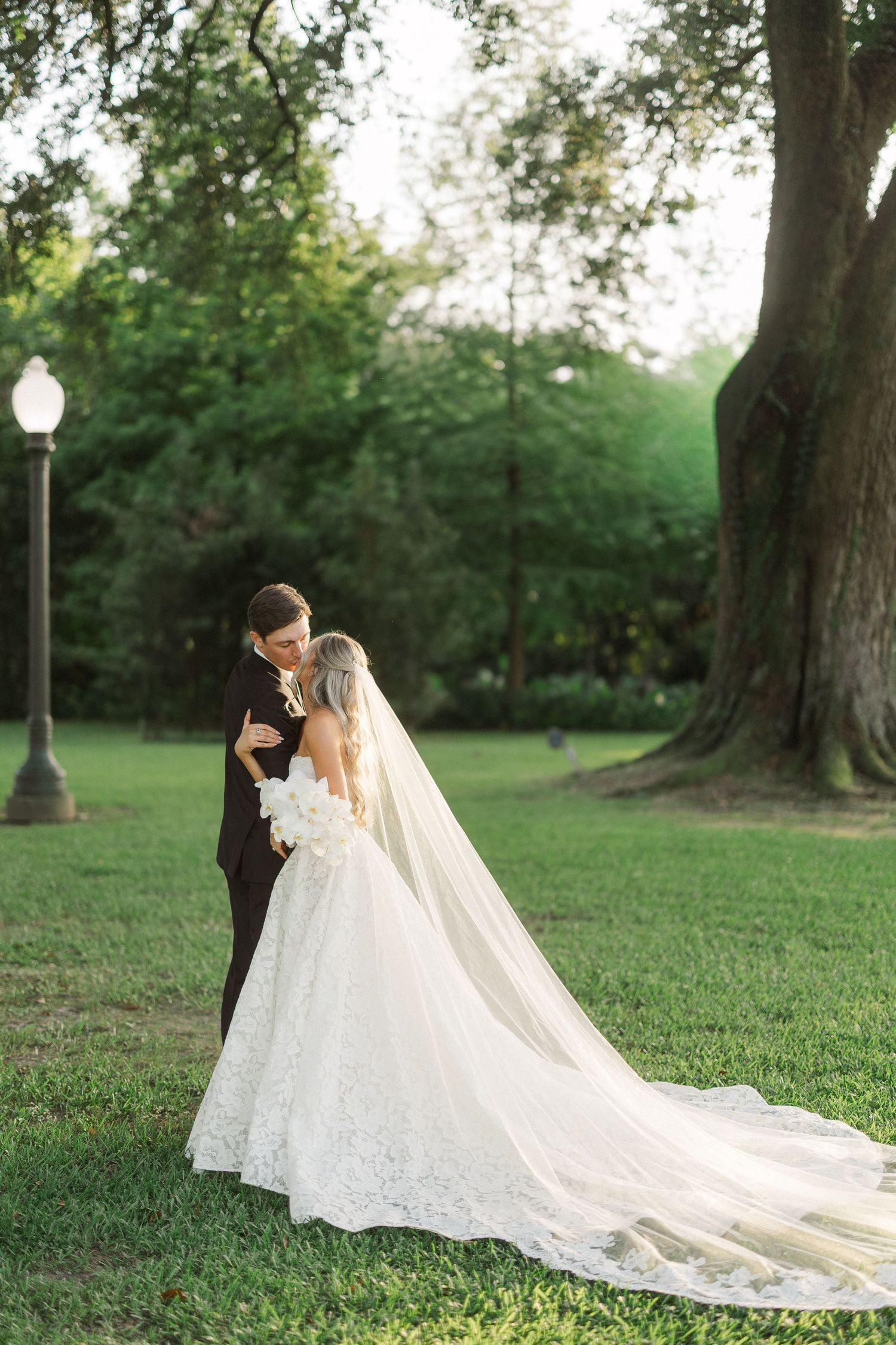 Groom tenderly kisses bride in lace ballgown with cathedral veil beneath large oak tree at sunset.