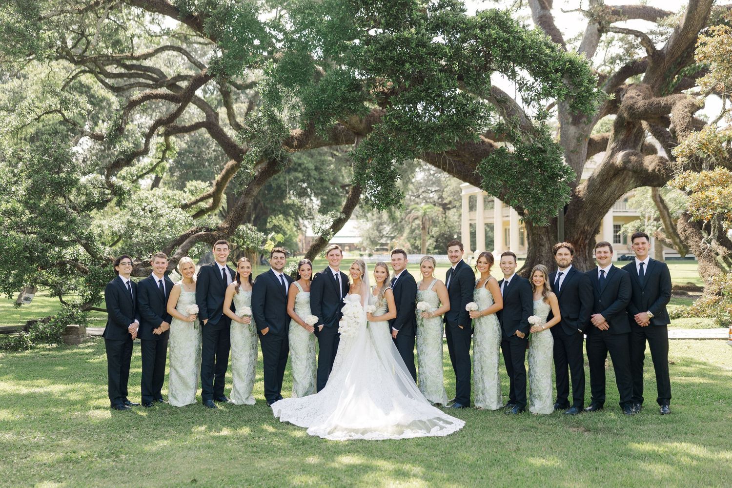 Wedding party posing under large oak tree with ivy arch at elegant plantation venue.