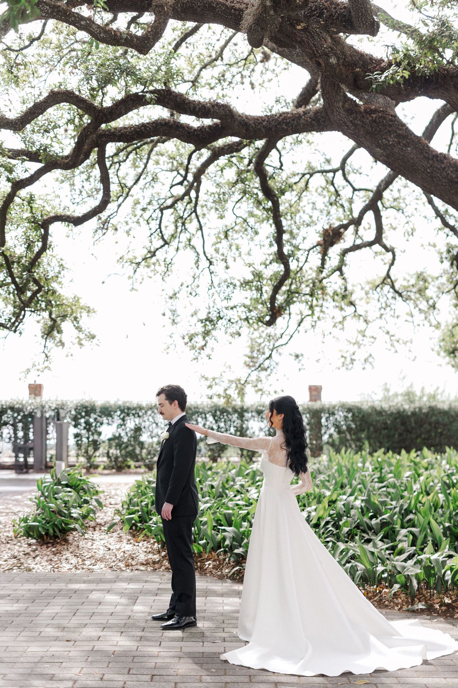 Bride in elegant white gown reaches for grooms hand during first look under oak tree.