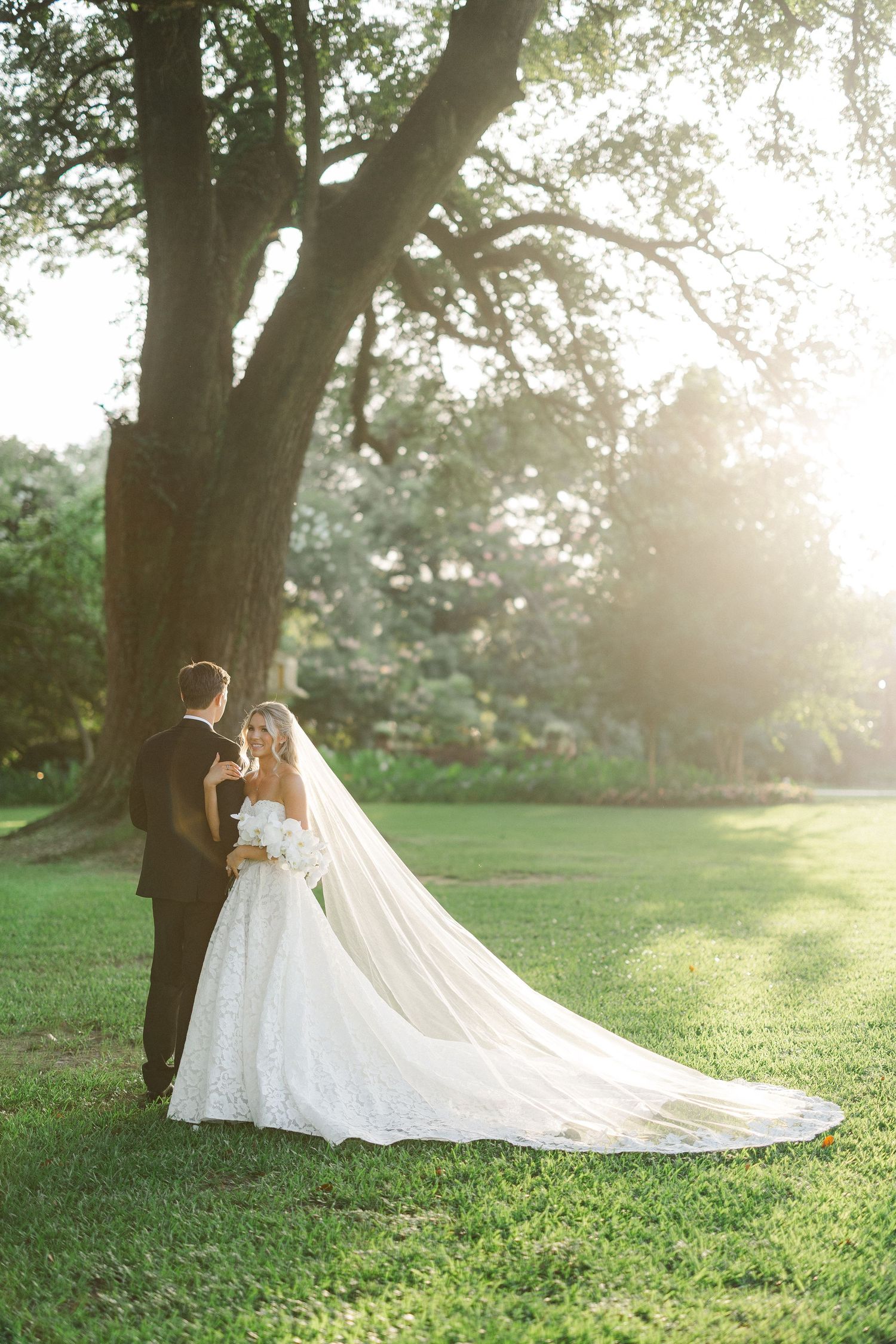 Bride and groom stand beneath a large oak tree in golden sunlight, bride's cathedral veil trailing on grass.