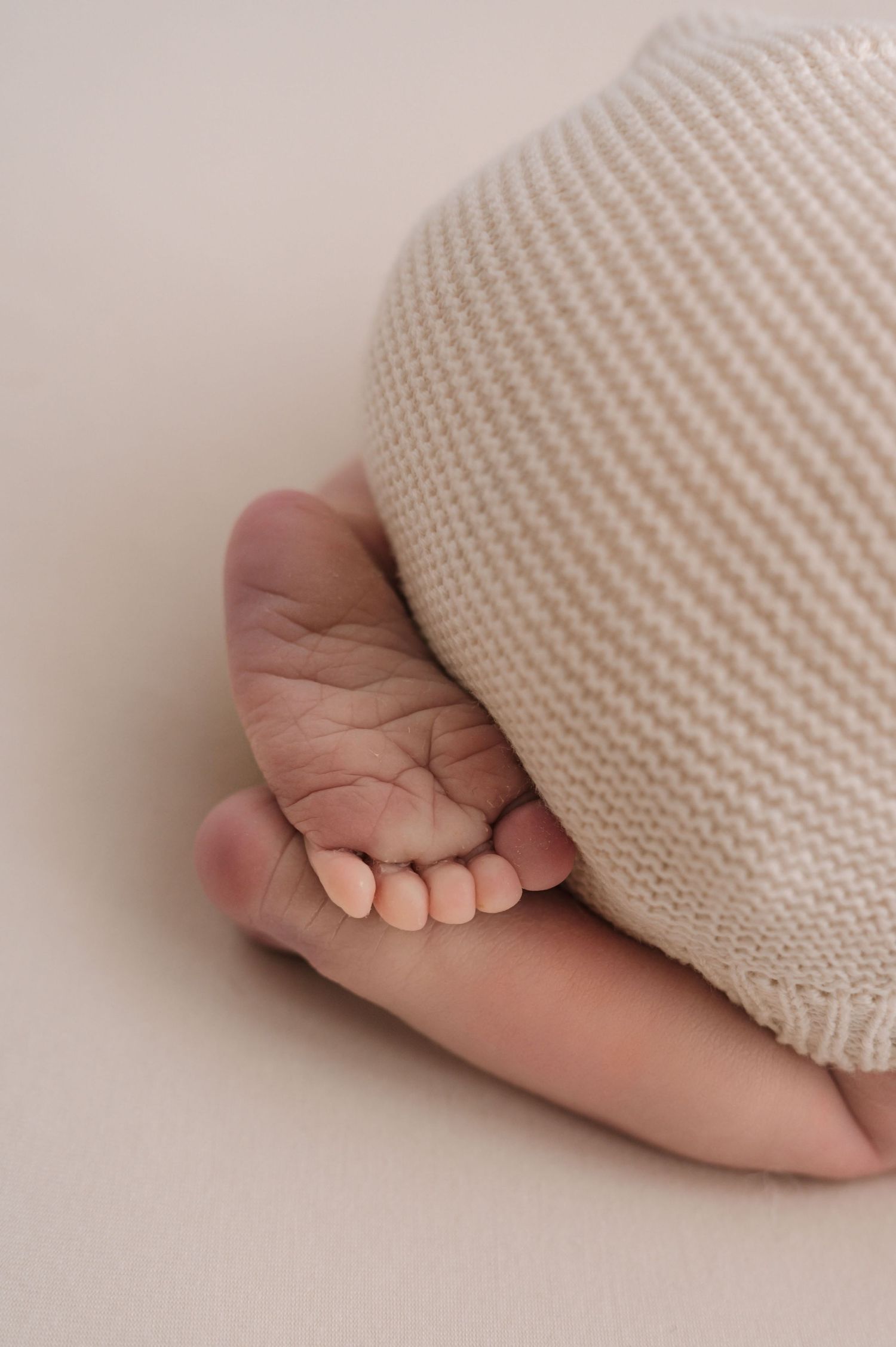 Close-up of tiny newborn baby feet peeking out from a soft cream knit blanket on a neutral background.